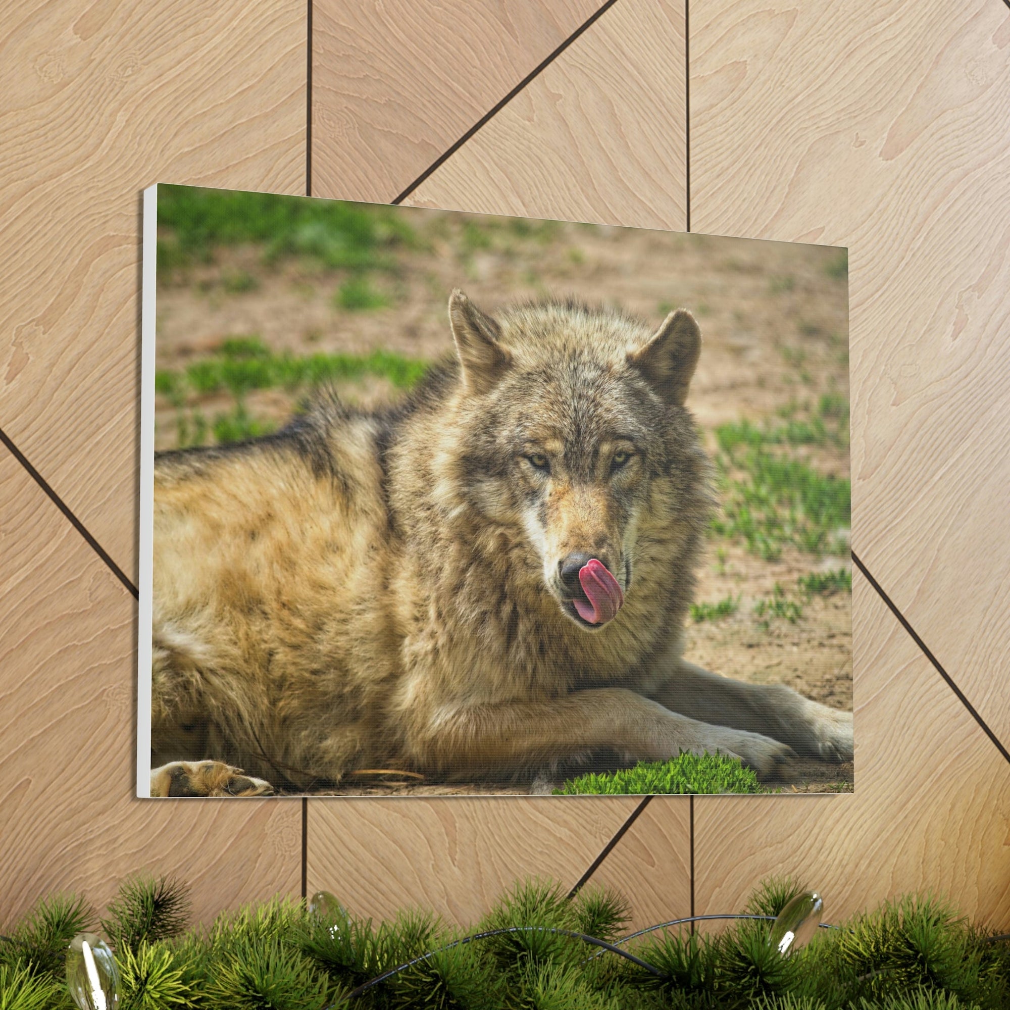 Funny Wolf Silly Wolf Scene Outside Wall Art Ready to Hang Unframed-Express Your Love Gifts