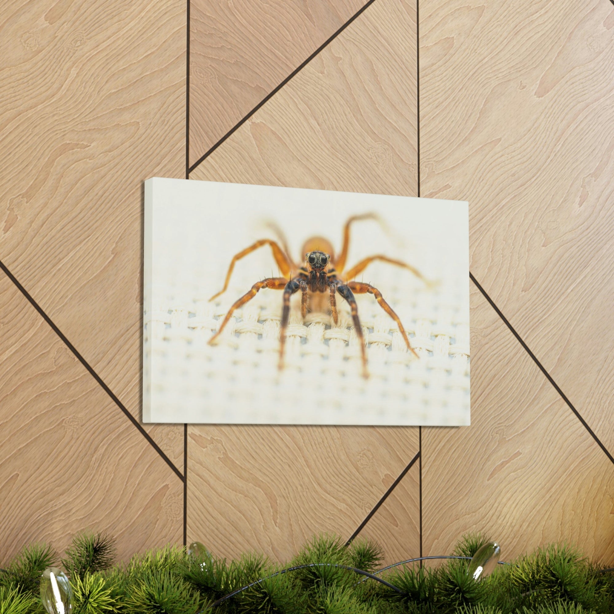 Funny Wolf Spider Silly Wolf Spider Scene Inside Wall Art Ready to Hang Unframed-Express Your Love Gifts