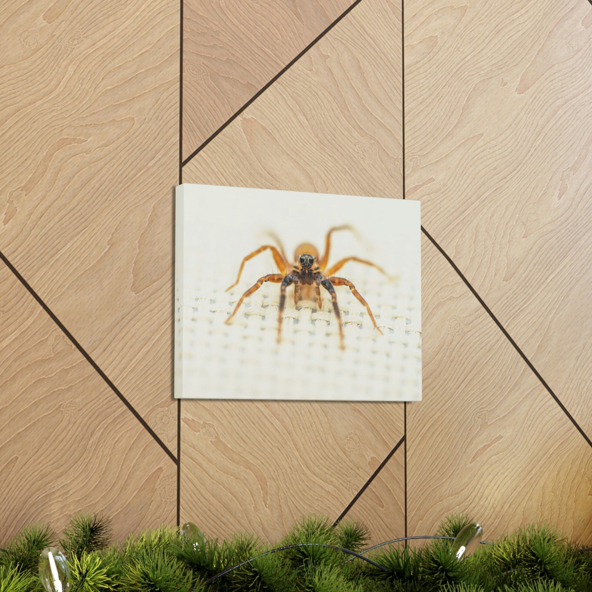 Funny Wolf Spider Silly Wolf Spider Scene Inside Wall Art Ready to Hang Unframed-Express Your Love Gifts