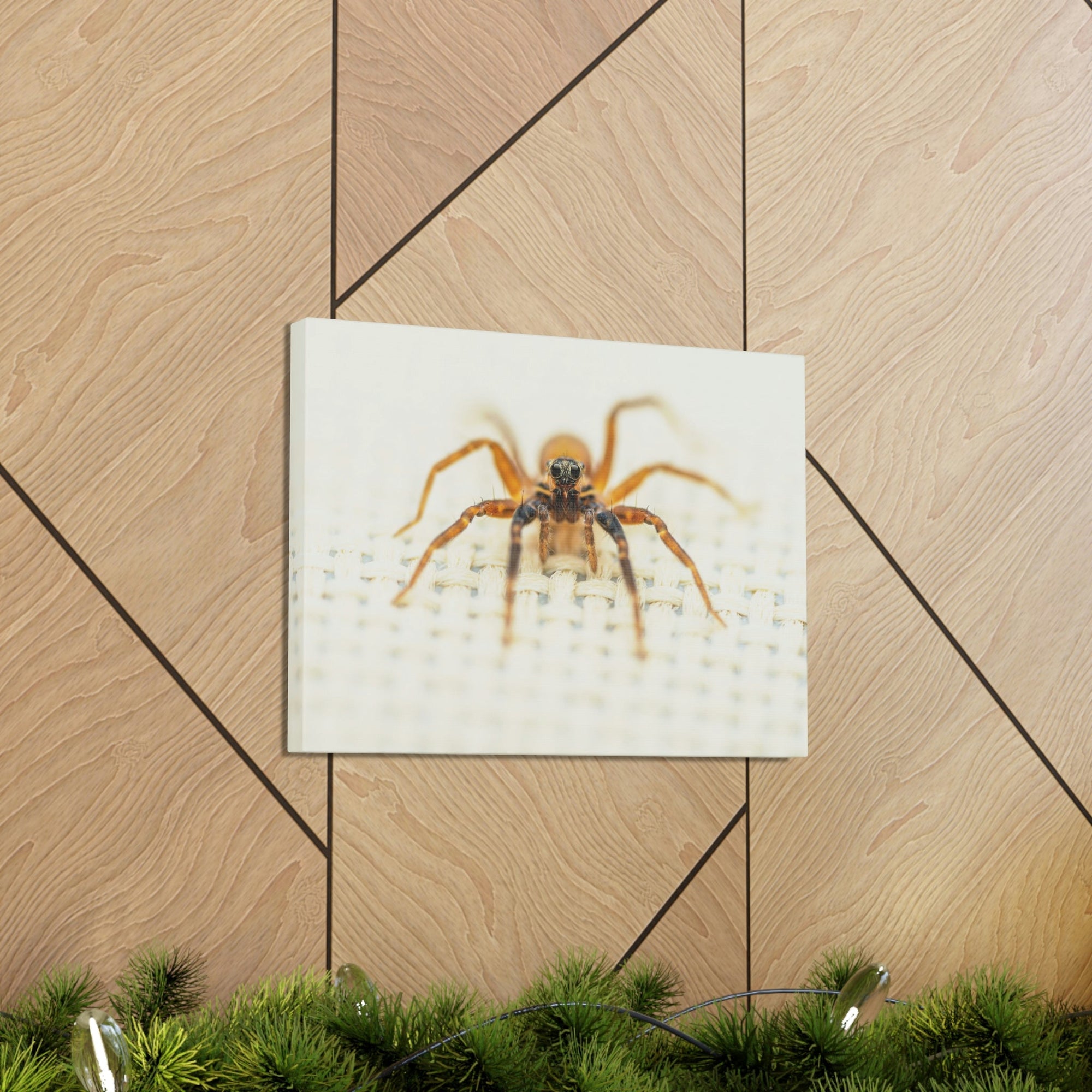 Funny Wolf Spider Silly Wolf Spider Scene Inside Wall Art Ready to Hang Unframed-Express Your Love Gifts