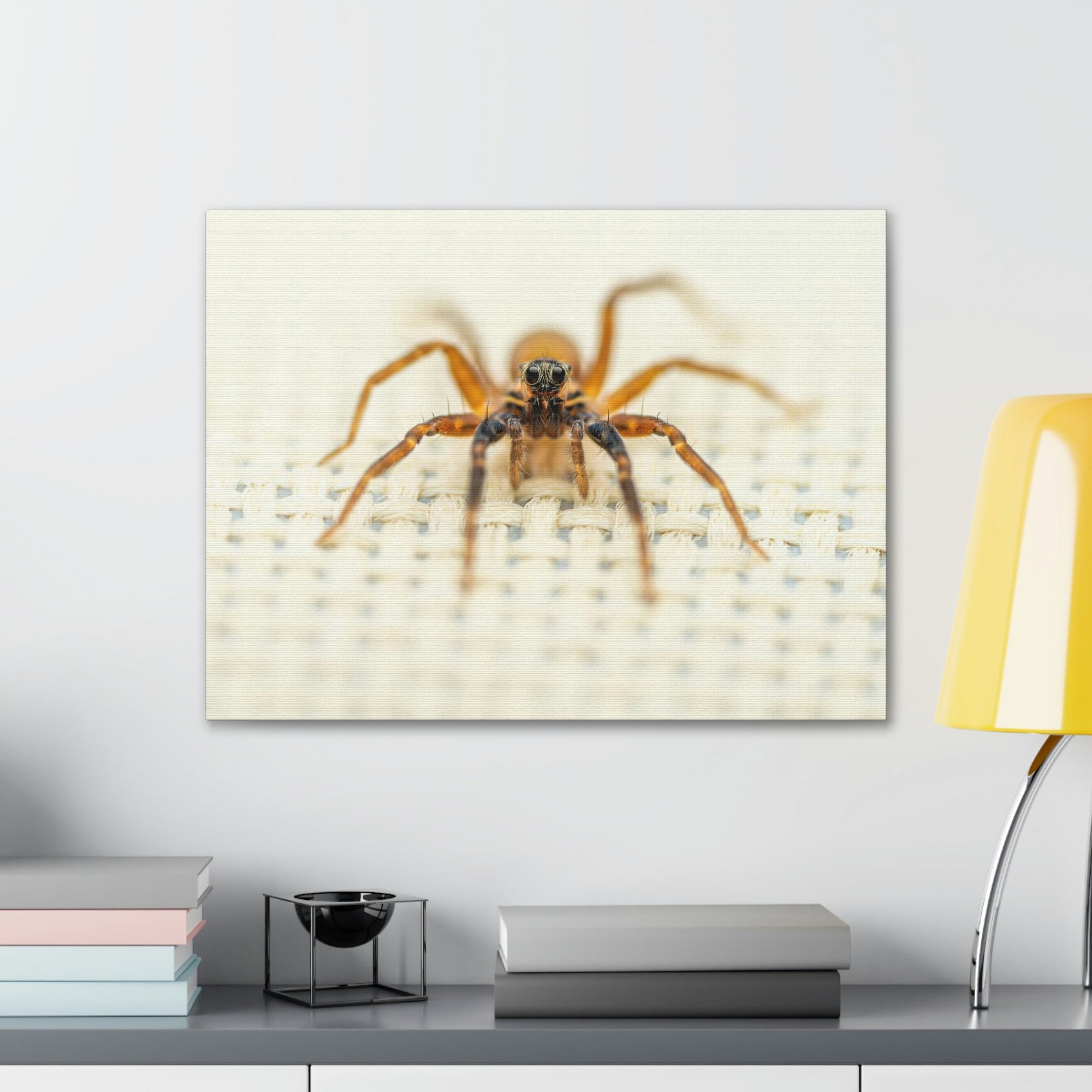 Funny Wolf Spider Silly Wolf Spider Scene Inside Wall Art Ready to Hang Unframed-Express Your Love Gifts