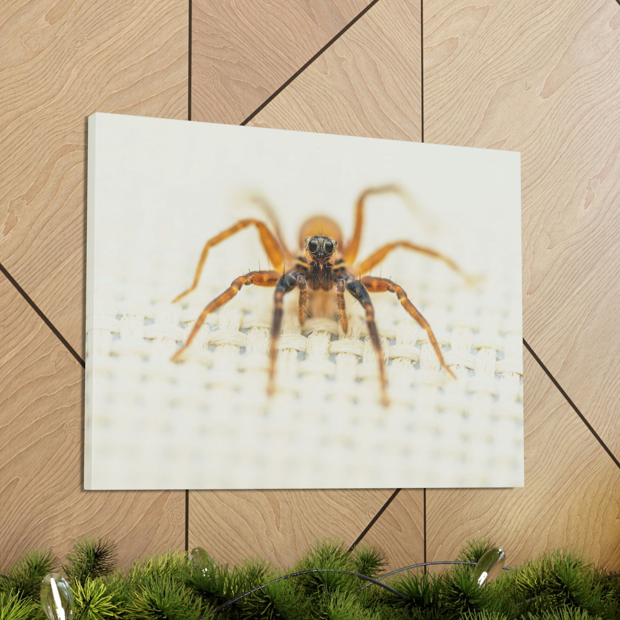 Funny Wolf Spider Silly Wolf Spider Scene Inside Wall Art Ready to Hang Unframed-Express Your Love Gifts