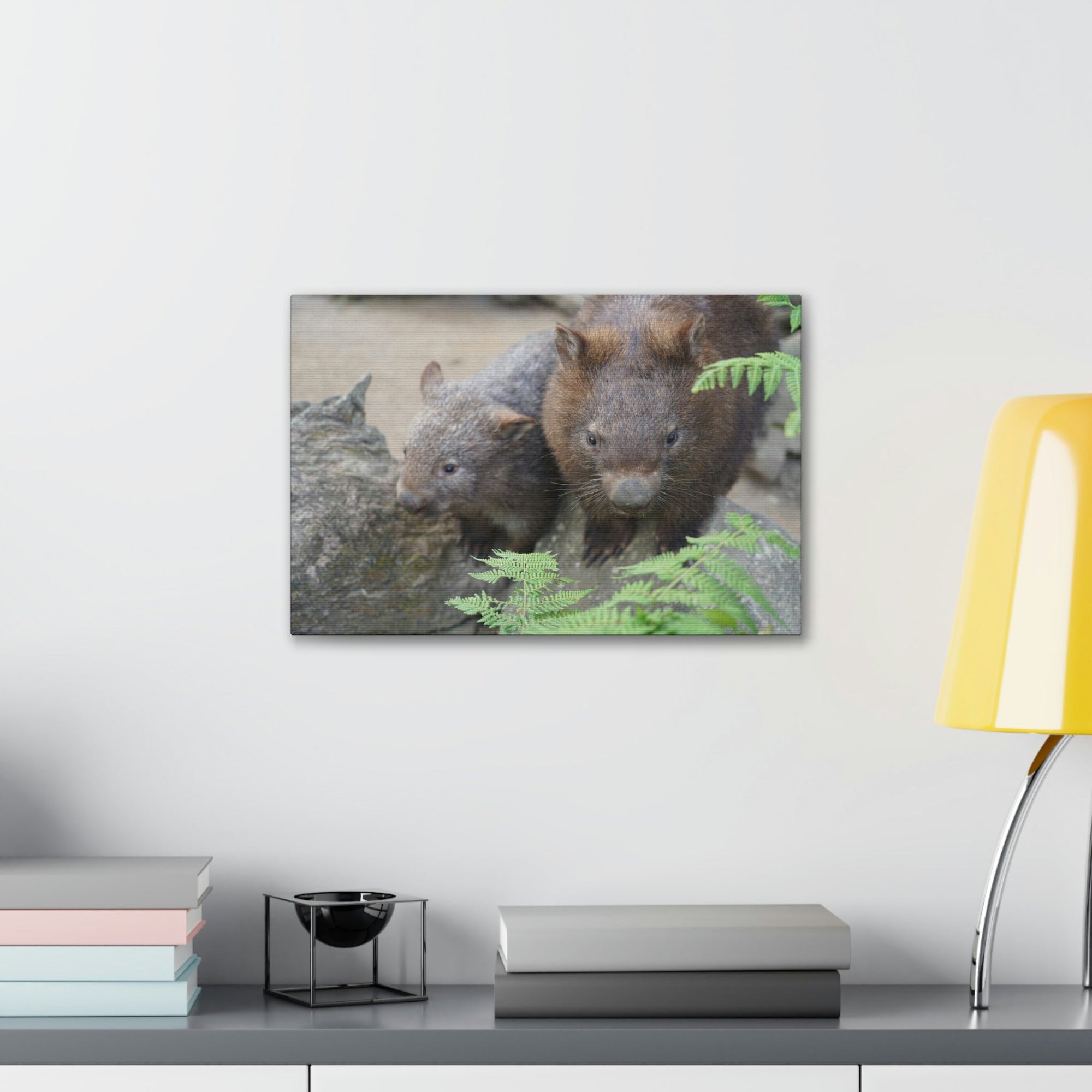 Funny Wombat Silly Wombat Scene Couple Wall Art Ready to Hang Unframed-Express Your Love Gifts