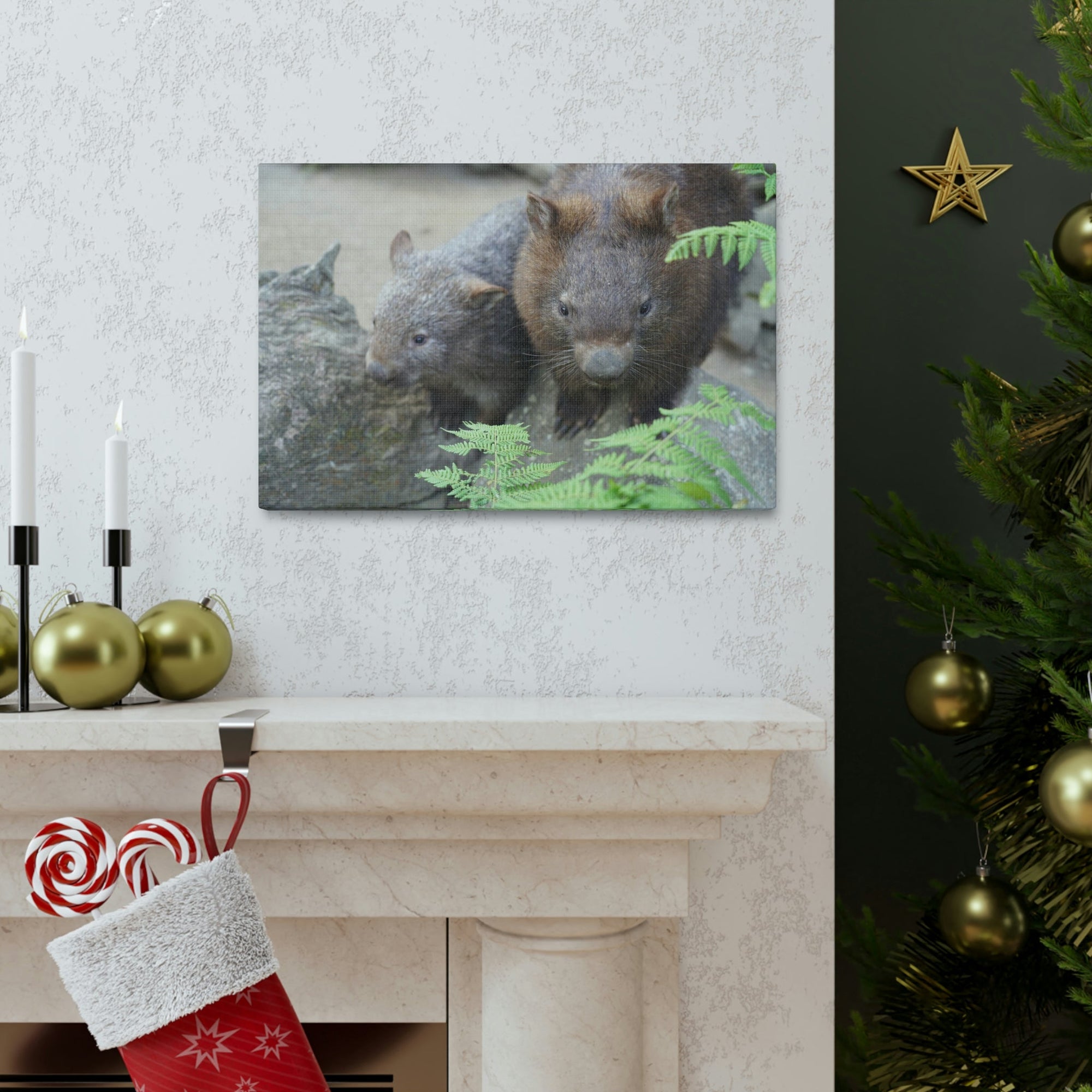 Funny Wombat Silly Wombat Scene Couple Wall Art Ready to Hang Unframed-Express Your Love Gifts