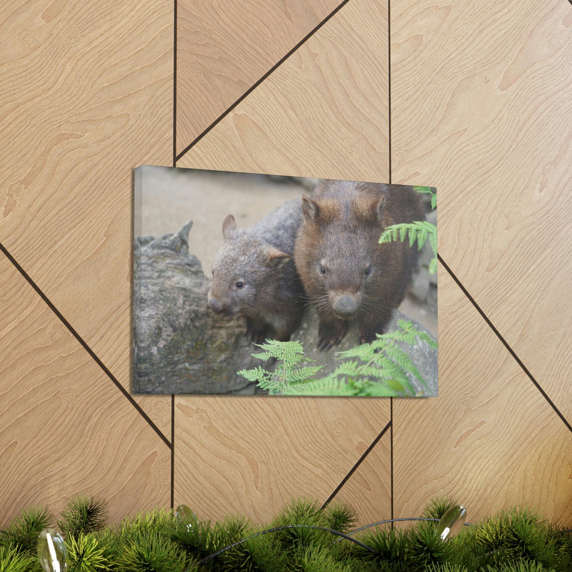 Funny Wombat Silly Wombat Scene Couple Wall Art Ready to Hang Unframed-Express Your Love Gifts