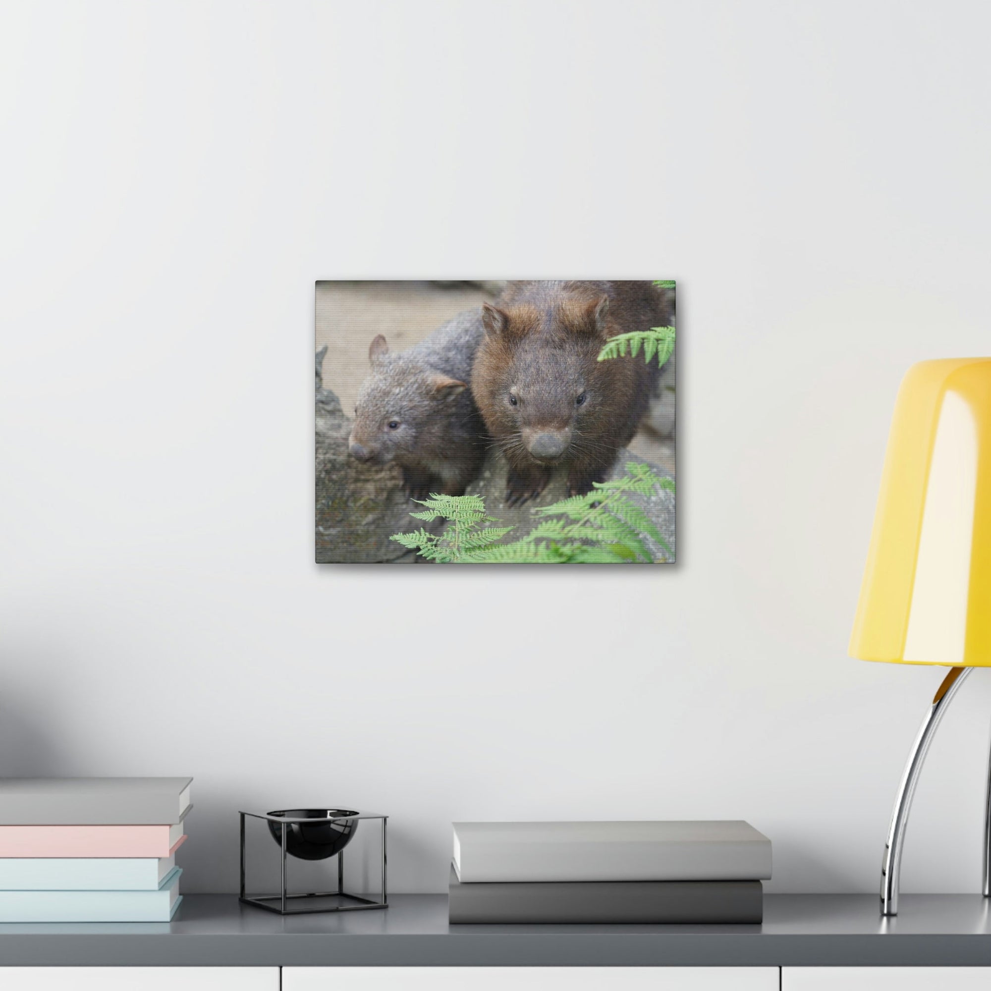 Funny Wombat Silly Wombat Scene Couple Wall Art Ready to Hang Unframed-Express Your Love Gifts