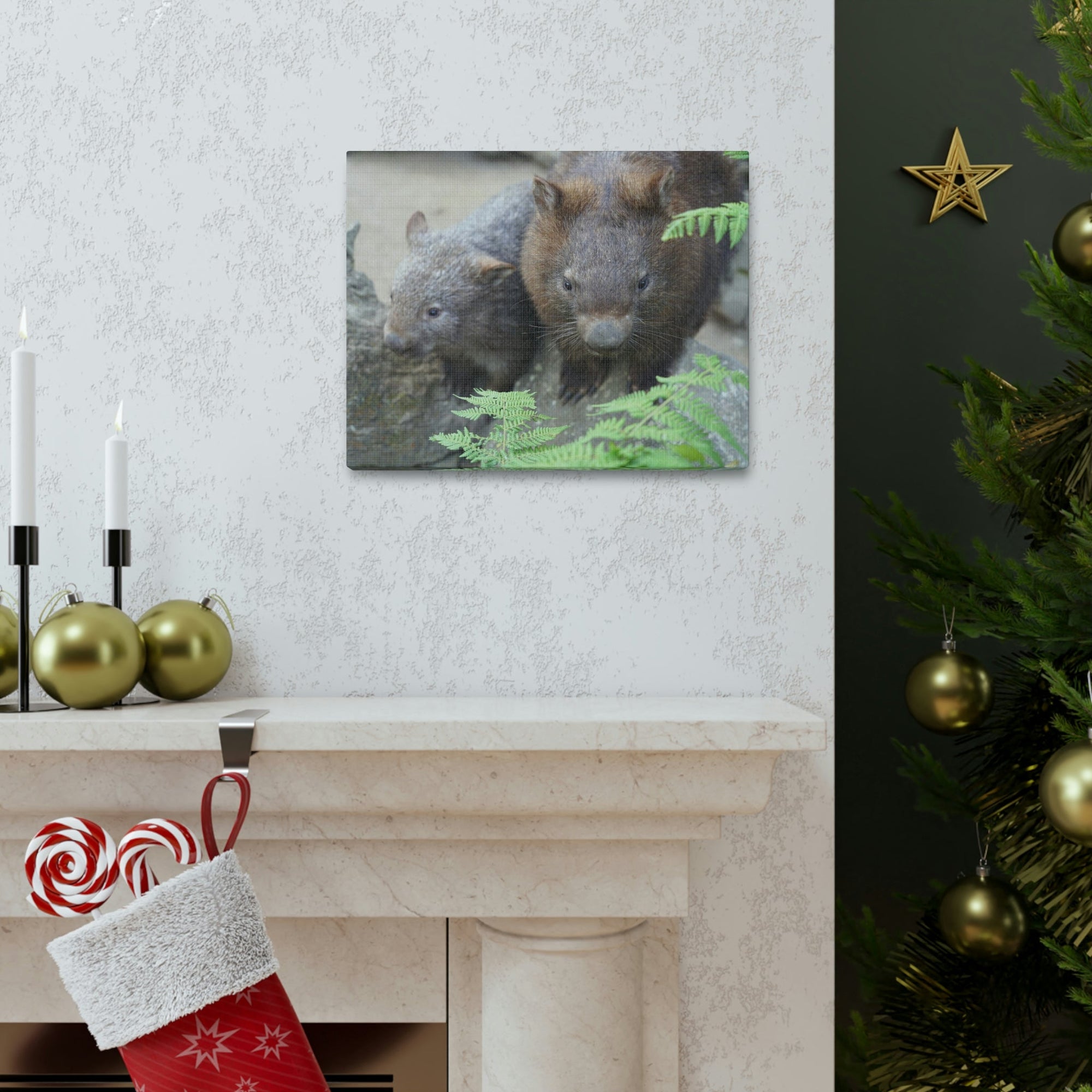 Funny Wombat Silly Wombat Scene Couple Wall Art Ready to Hang Unframed-Express Your Love Gifts