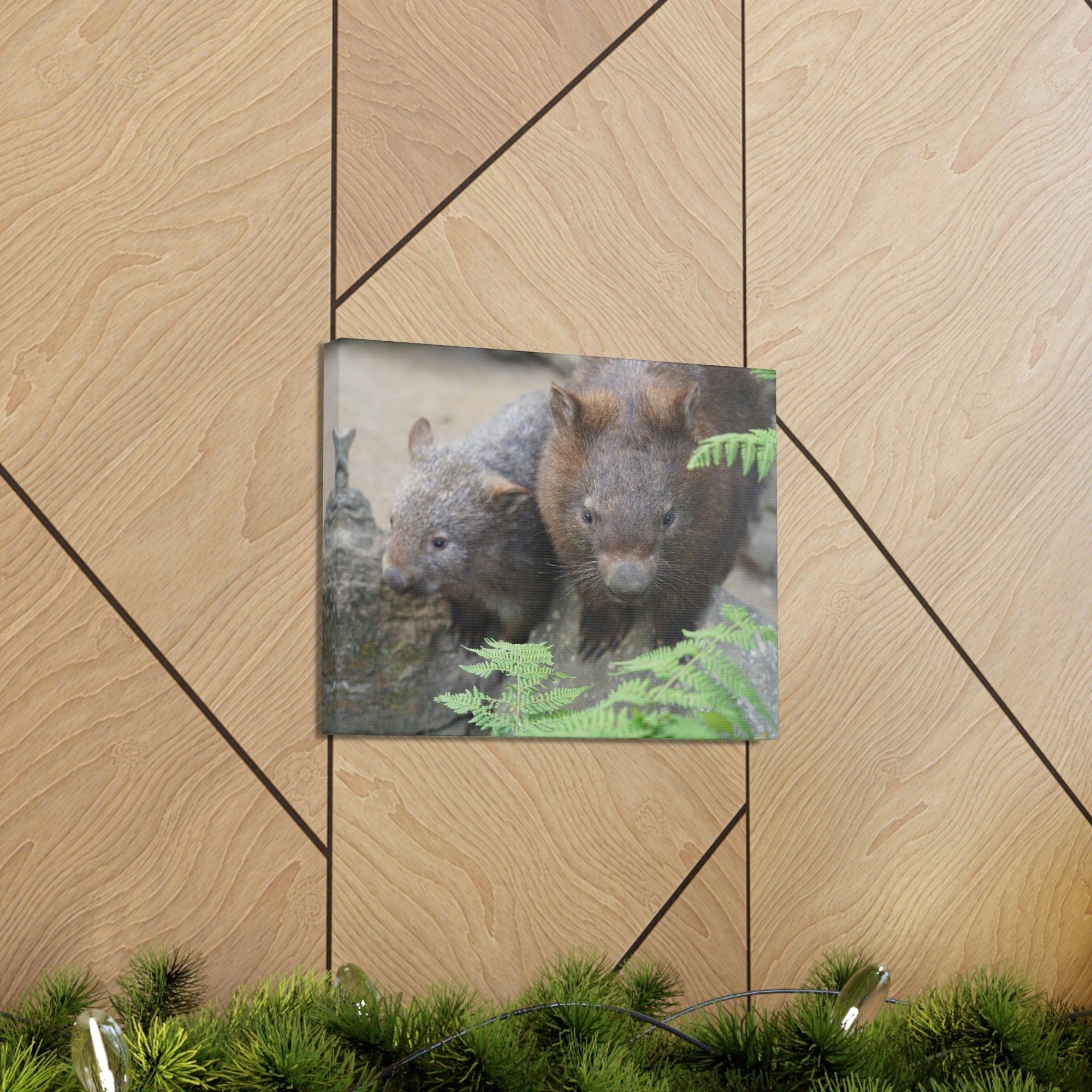 Funny Wombat Silly Wombat Scene Couple Wall Art Ready to Hang Unframed-Express Your Love Gifts