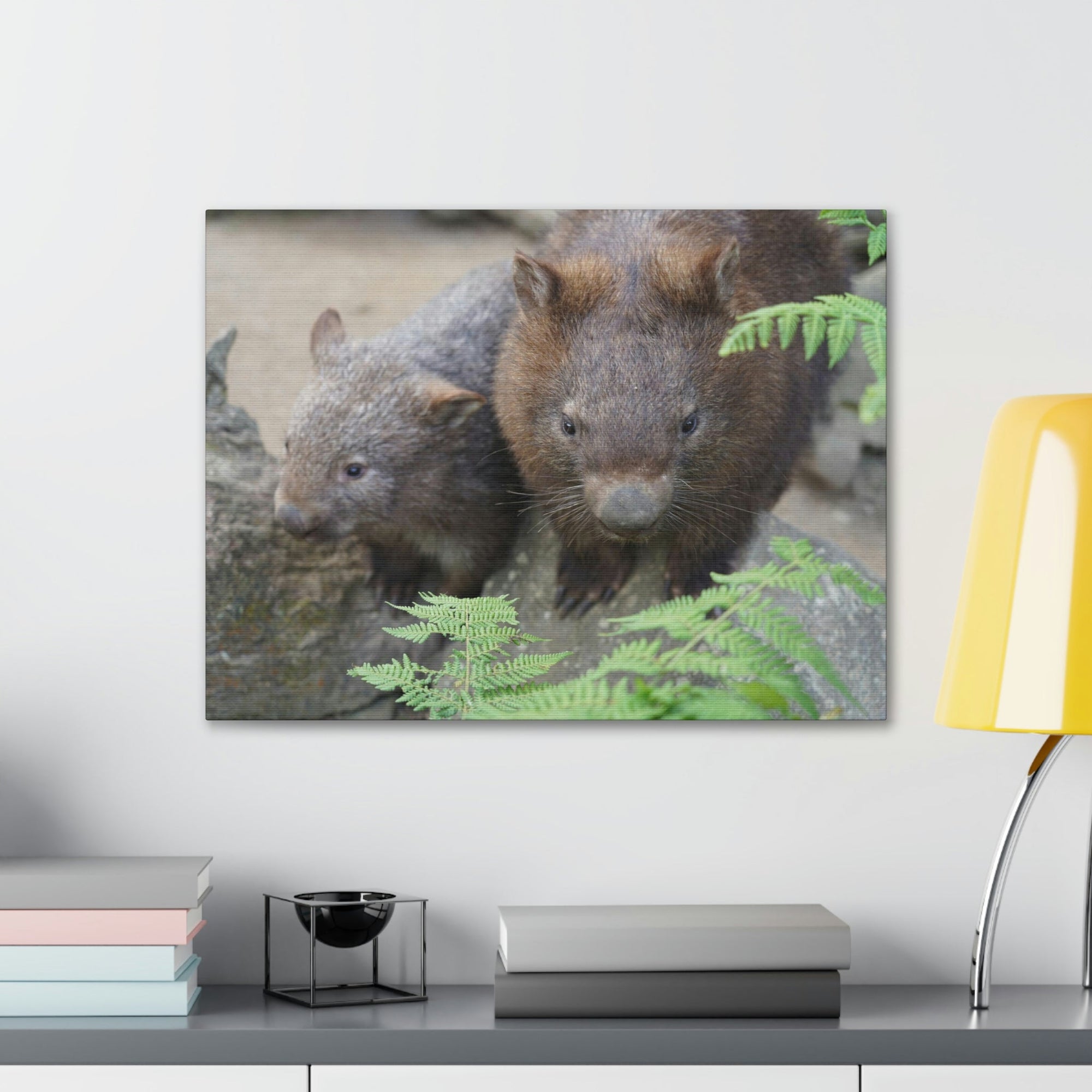 Funny Wombat Silly Wombat Scene Couple Wall Art Ready to Hang Unframed-Express Your Love Gifts