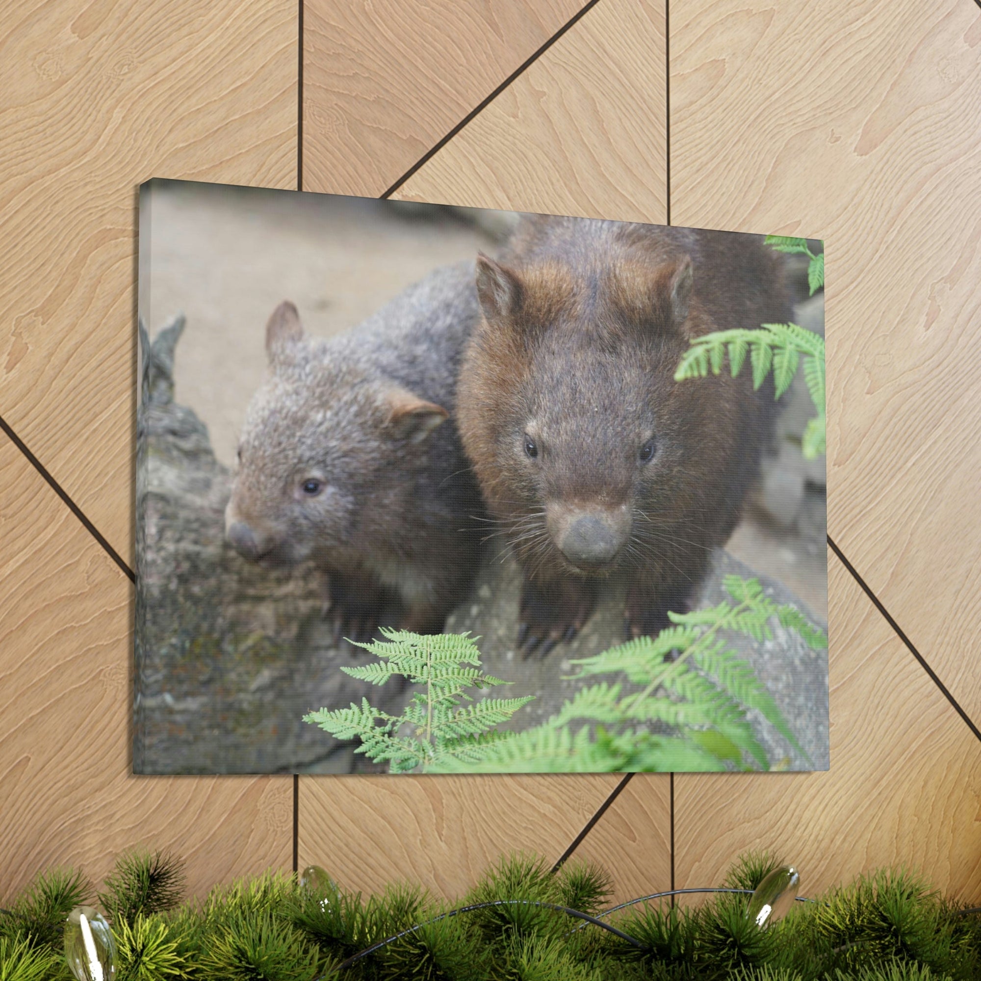 Funny Wombat Silly Wombat Scene Couple Wall Art Ready to Hang Unframed-Express Your Love Gifts