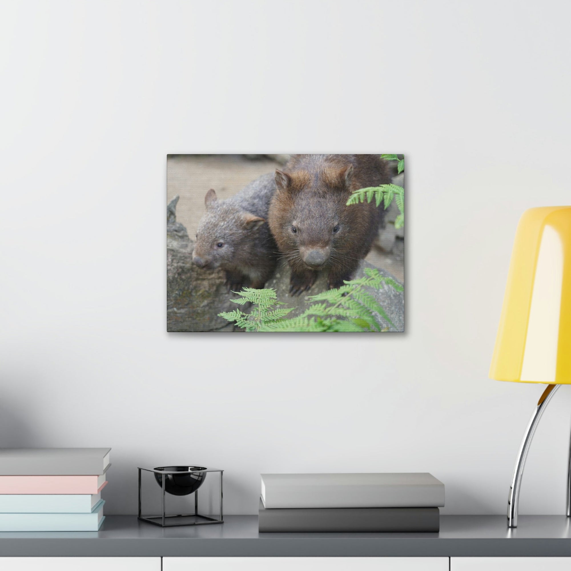 Funny Wombat Silly Wombat Scene Couple Wall Art Ready to Hang Unframed-Express Your Love Gifts