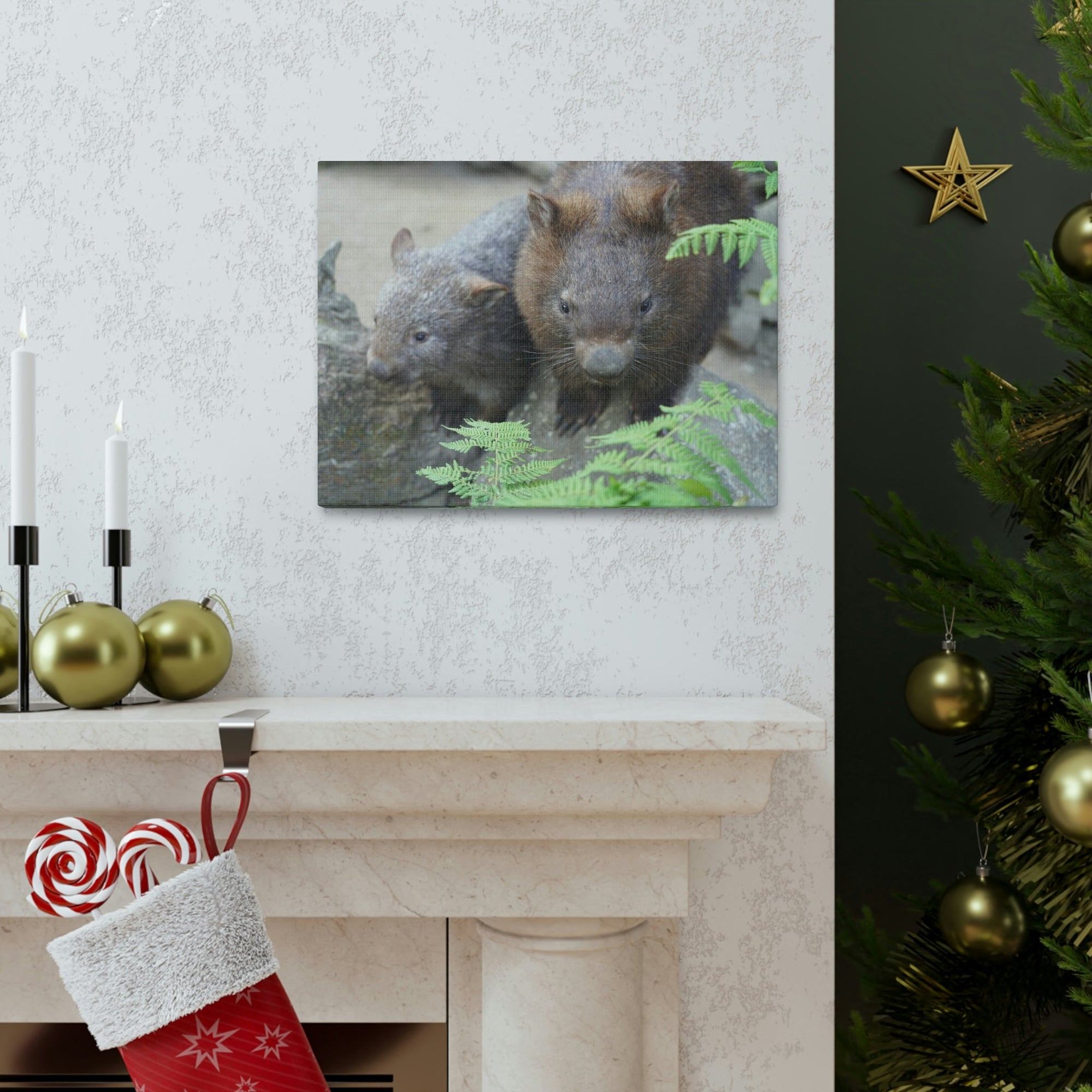 Funny Wombat Silly Wombat Scene Couple Wall Art Ready to Hang Unframed-Express Your Love Gifts