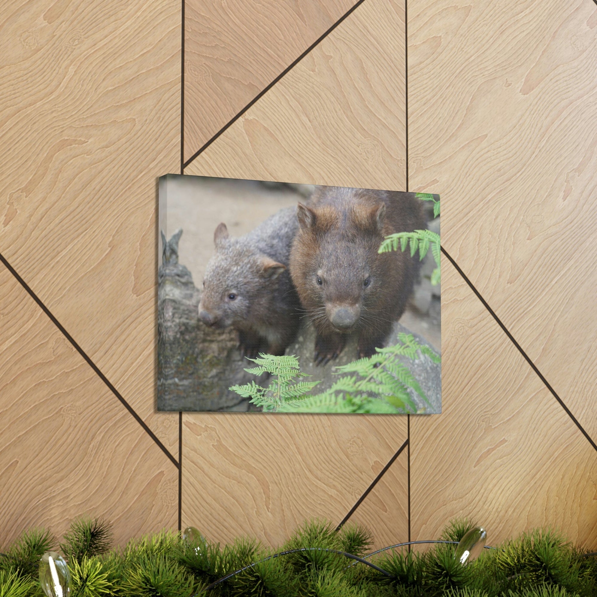 Funny Wombat Silly Wombat Scene Couple Wall Art Ready to Hang Unframed-Express Your Love Gifts