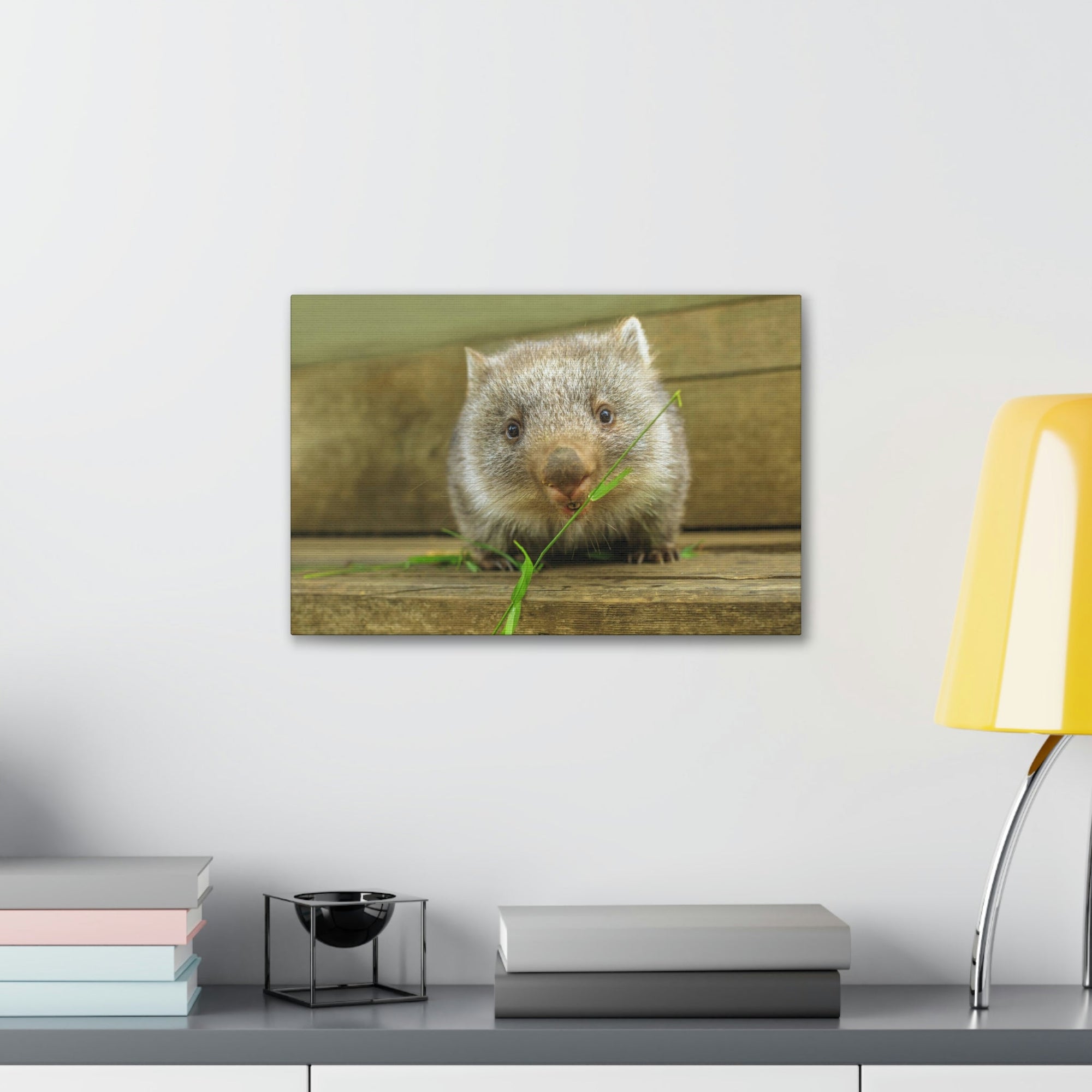 Funny Wombat Silly Wombat Scene Outdoor Wall Art Ready to Hang Unframed-Express Your Love Gifts