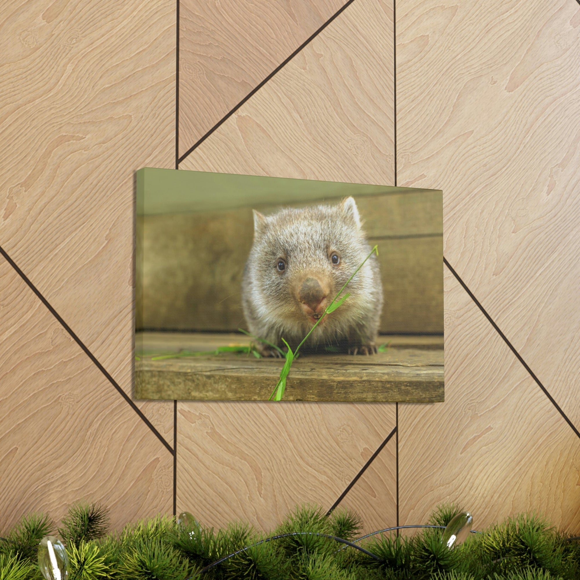 Funny Wombat Silly Wombat Scene Outdoor Wall Art Ready to Hang Unframed-Express Your Love Gifts