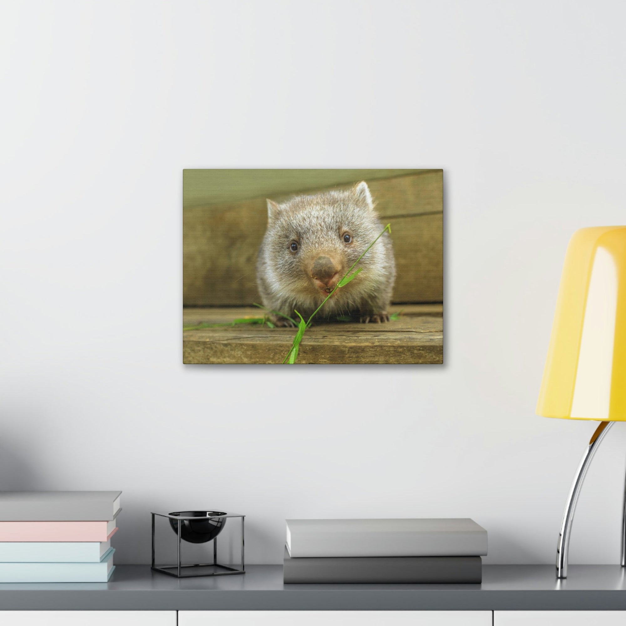 Funny Wombat Silly Wombat Scene Outdoor Wall Art Ready to Hang Unframed-Express Your Love Gifts