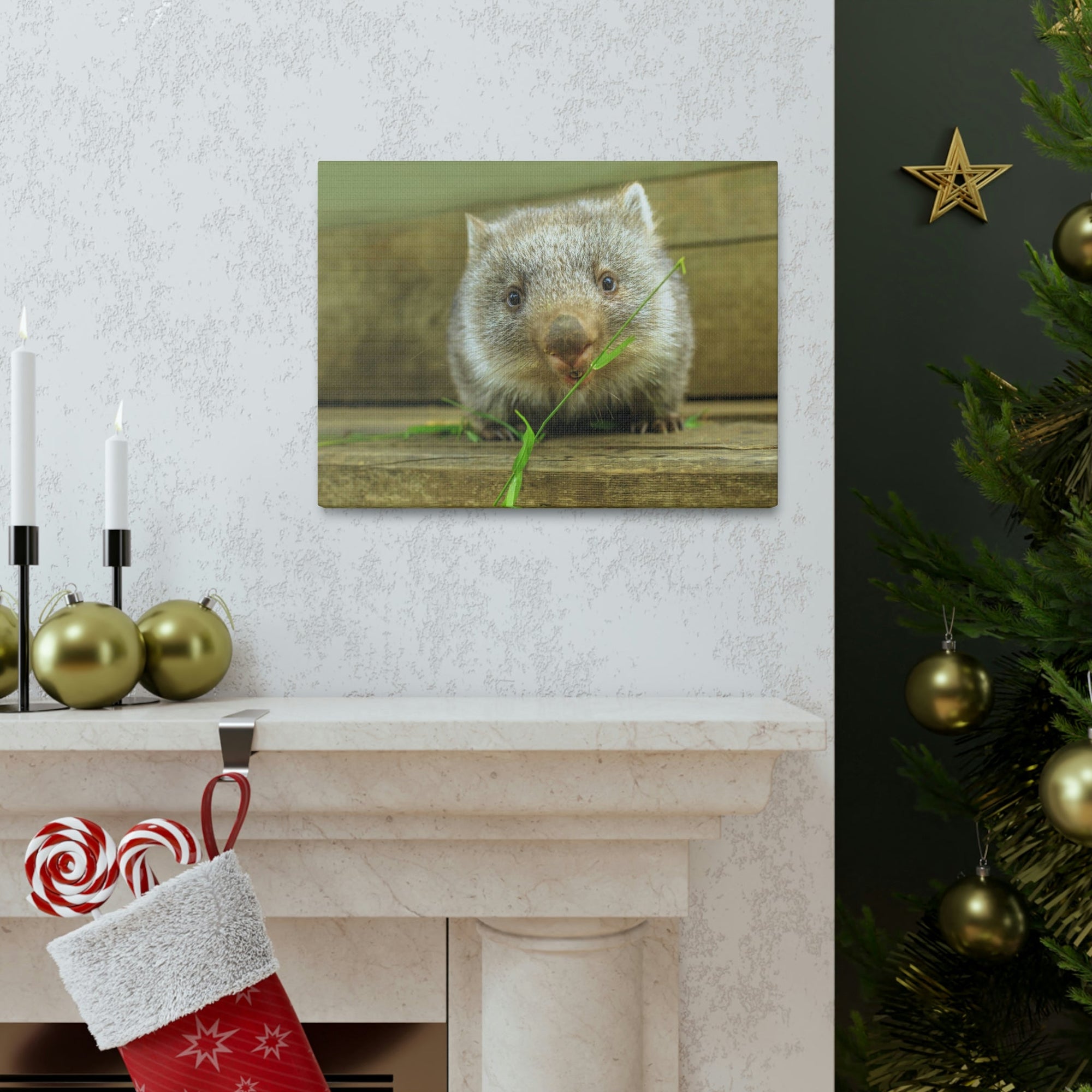 Funny Wombat Silly Wombat Scene Outdoor Wall Art Ready to Hang Unframed-Express Your Love Gifts