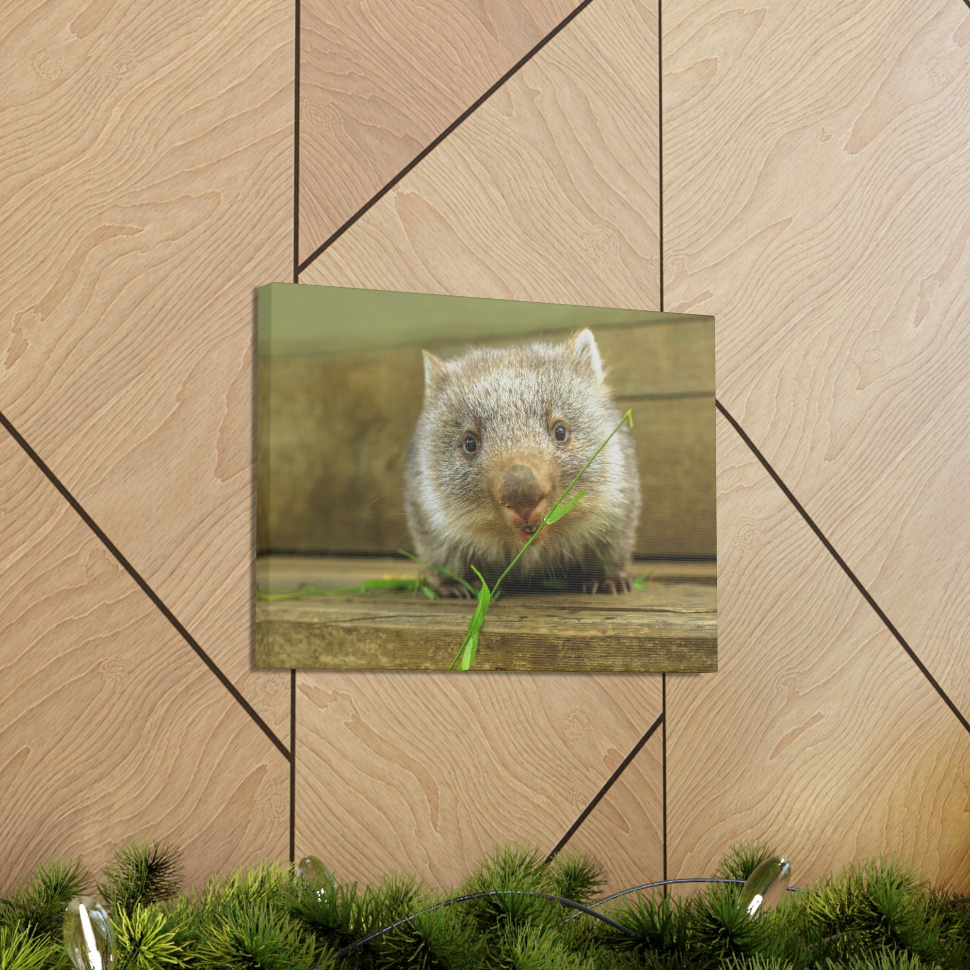 Funny Wombat Silly Wombat Scene Outdoor Wall Art Ready to Hang Unframed-Express Your Love Gifts