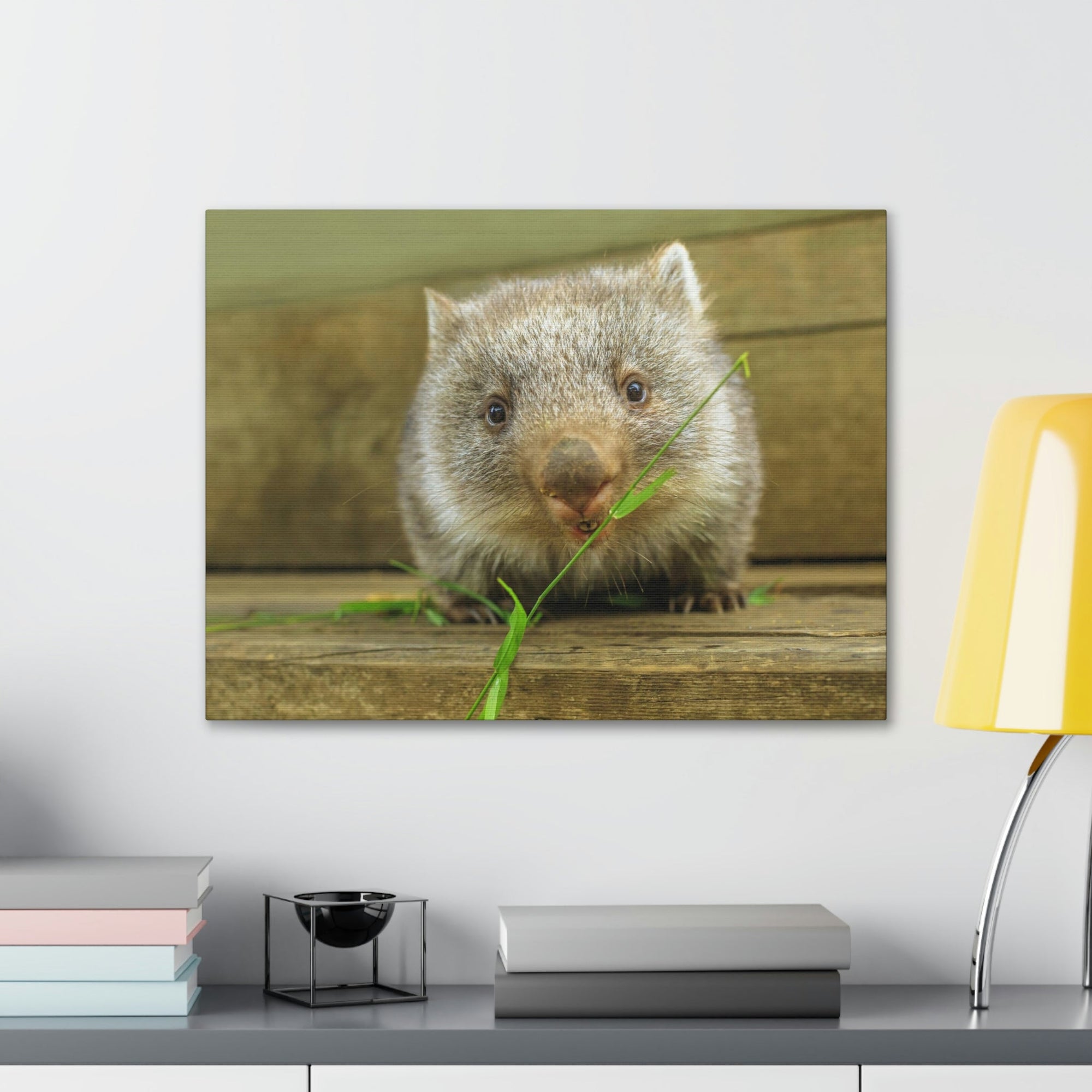 Funny Wombat Silly Wombat Scene Outdoor Wall Art Ready to Hang Unframed-Express Your Love Gifts