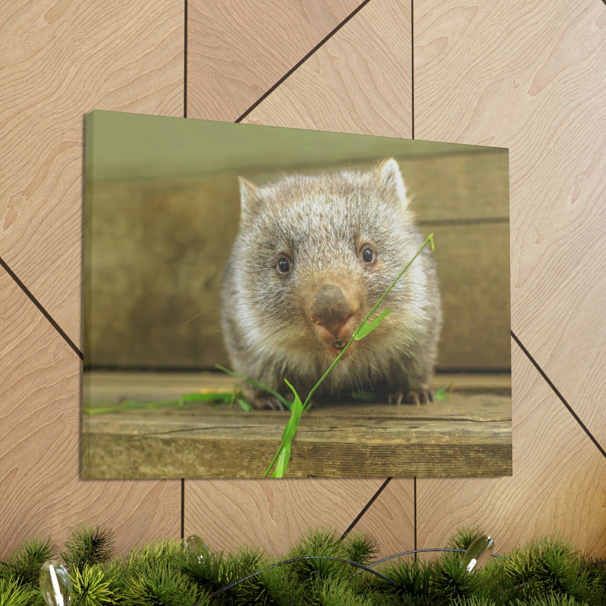 Funny Wombat Silly Wombat Scene Outdoor Wall Art Ready to Hang Unframed-Express Your Love Gifts