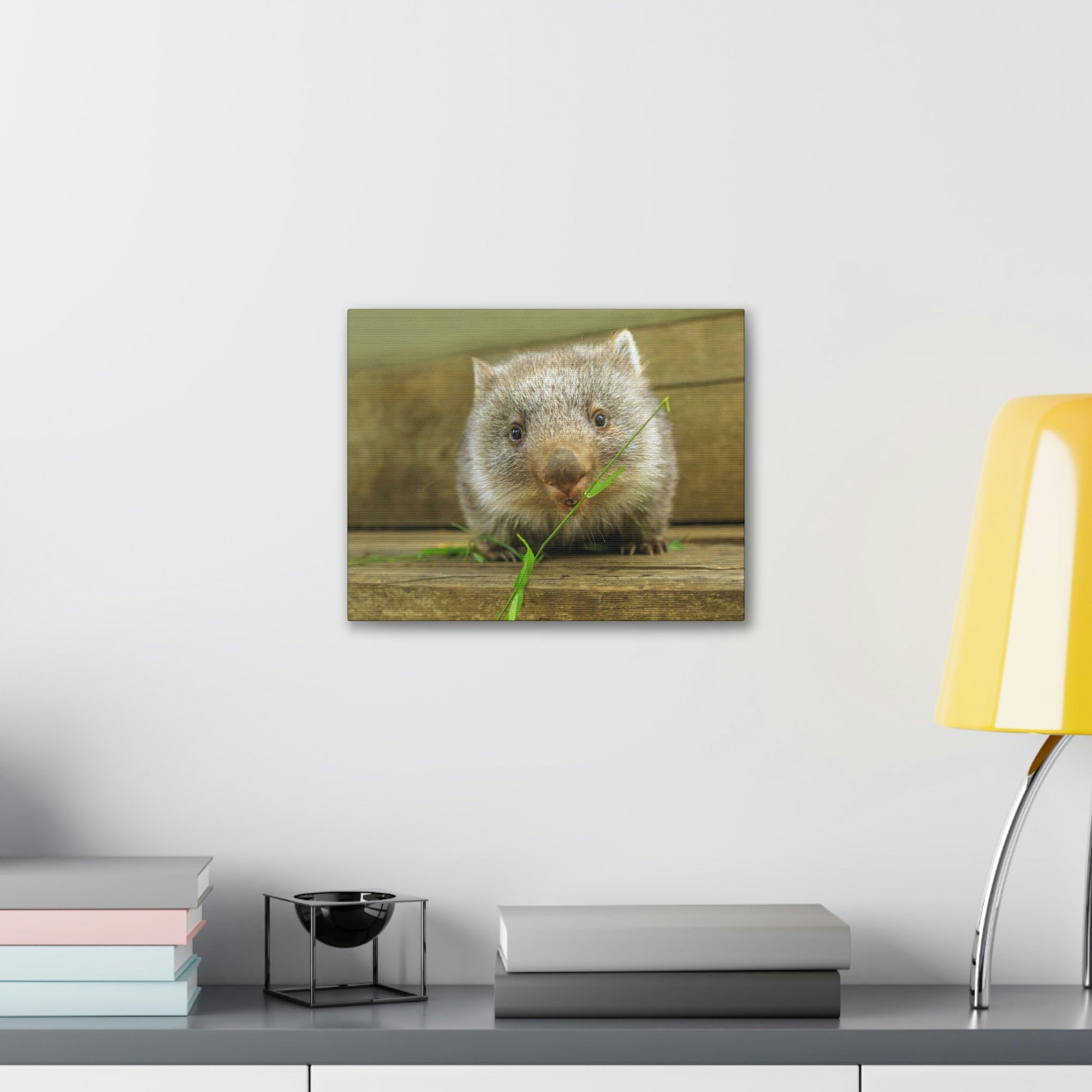 Funny Wombat Silly Wombat Scene Outdoor Wall Art Ready to Hang Unframed-Express Your Love Gifts