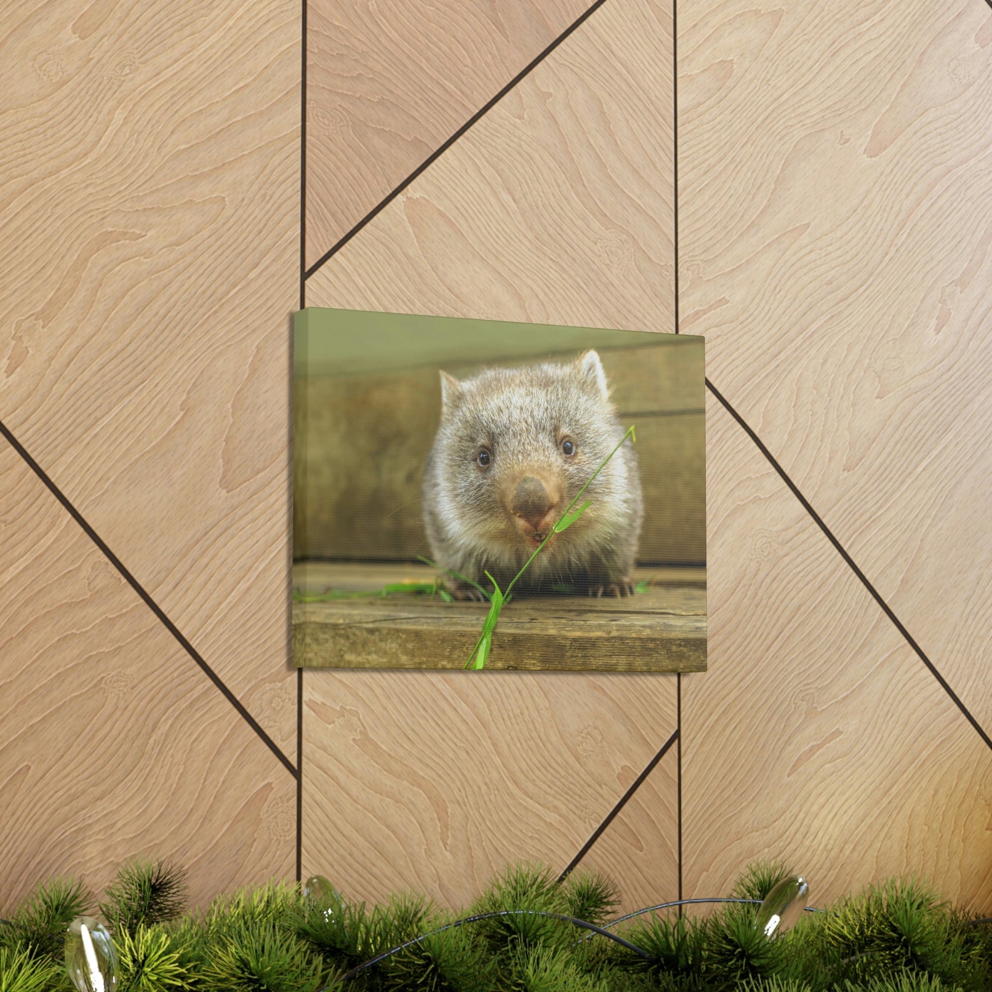 Funny Wombat Silly Wombat Scene Outdoor Wall Art Ready to Hang Unframed-Express Your Love Gifts