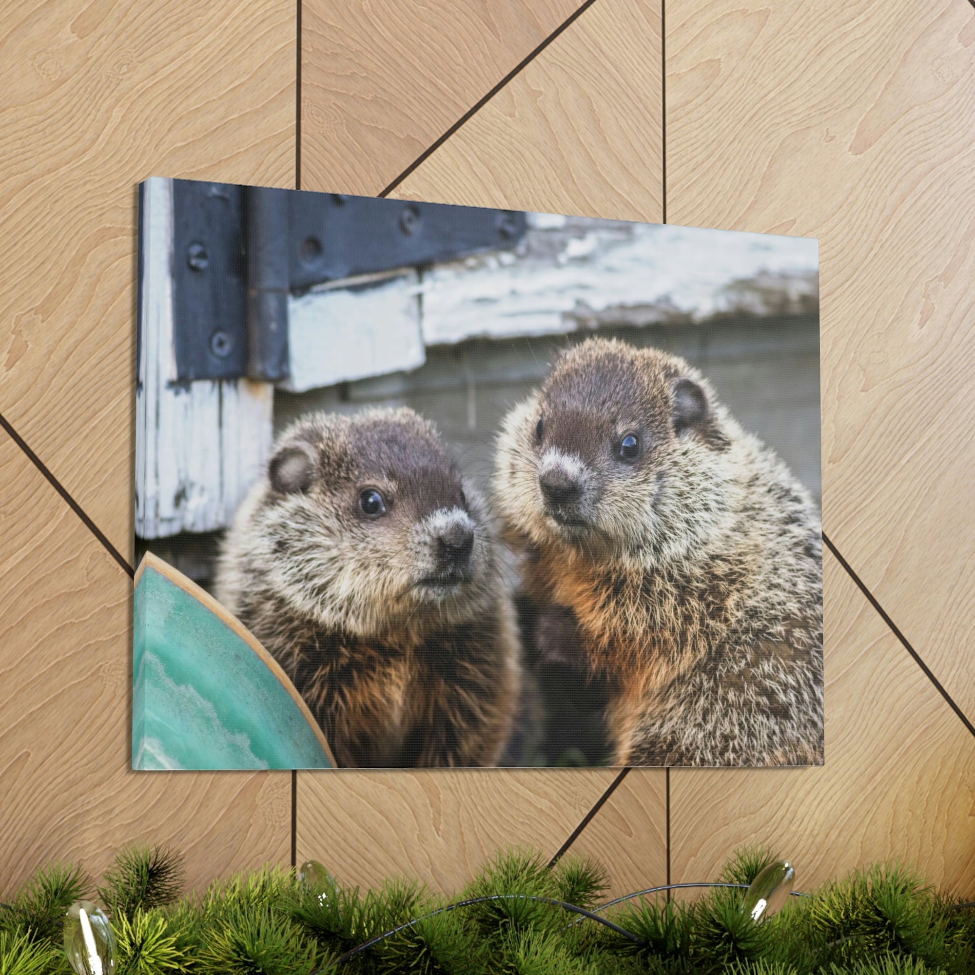 Funny Woodchuck Silly Woodchuck Scene Couple Wall Art Ready to Hang Unframed-Express Your Love Gifts