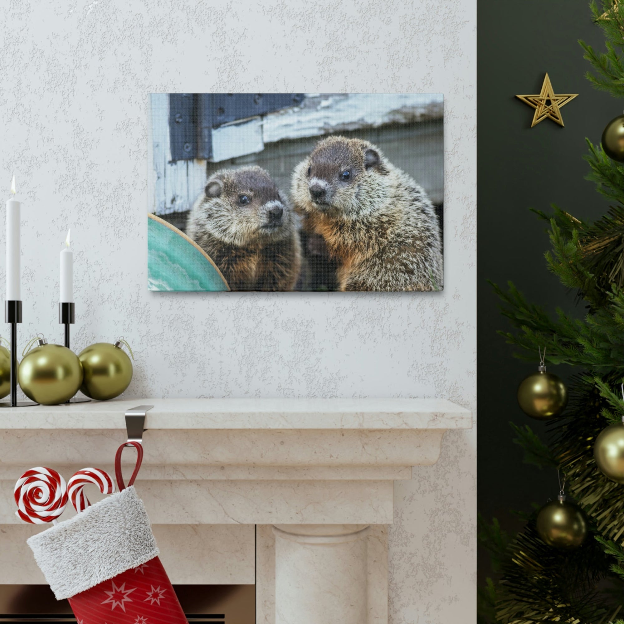 Funny Woodchuck Silly Woodchuck Scene Couple Wall Art Ready to Hang Unframed-Express Your Love Gifts