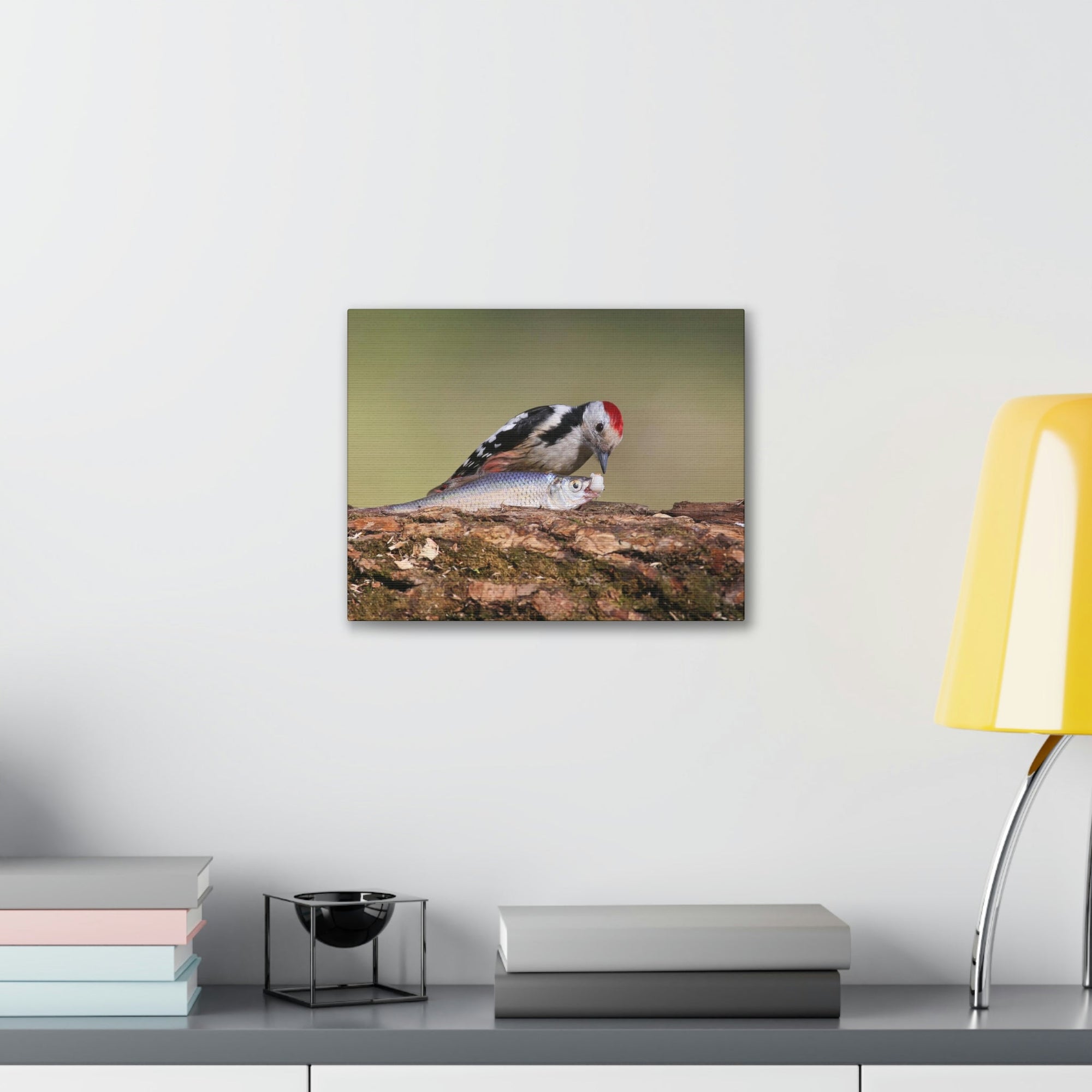 Funny Woodpecker Silly Woodpecker Scene Outside Wall Art Ready to Hang Unframed-Express Your Love Gifts