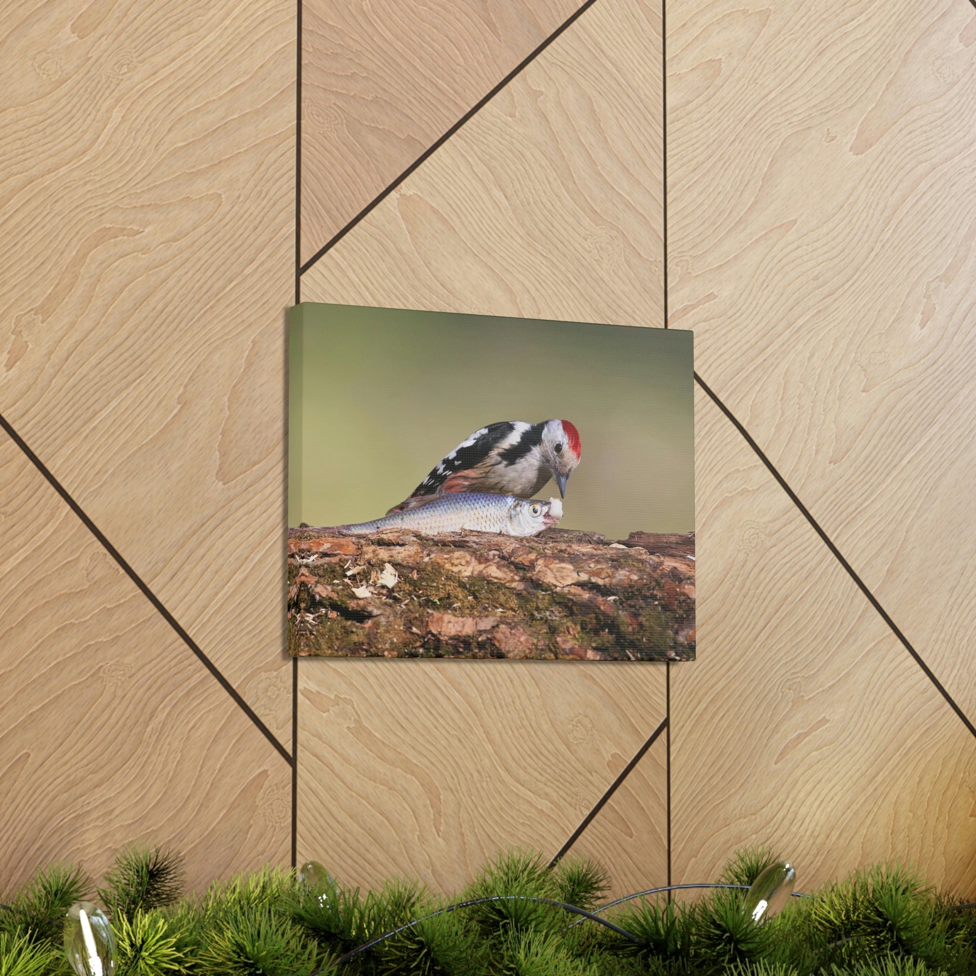 Funny Woodpecker Silly Woodpecker Scene Outside Wall Art Ready to Hang Unframed-Express Your Love Gifts