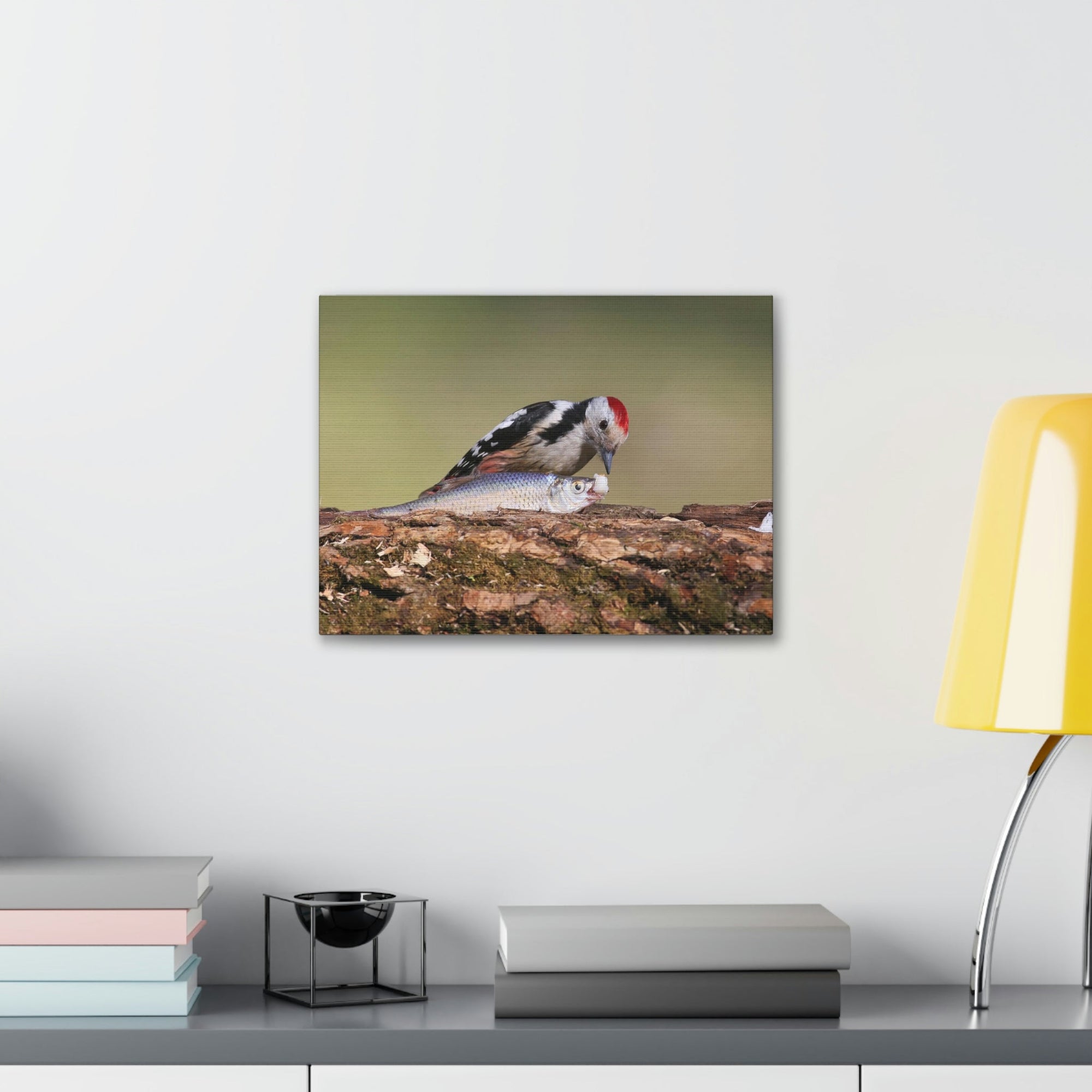 Funny Woodpecker Silly Woodpecker Scene Outside Wall Art Ready to Hang Unframed-Express Your Love Gifts