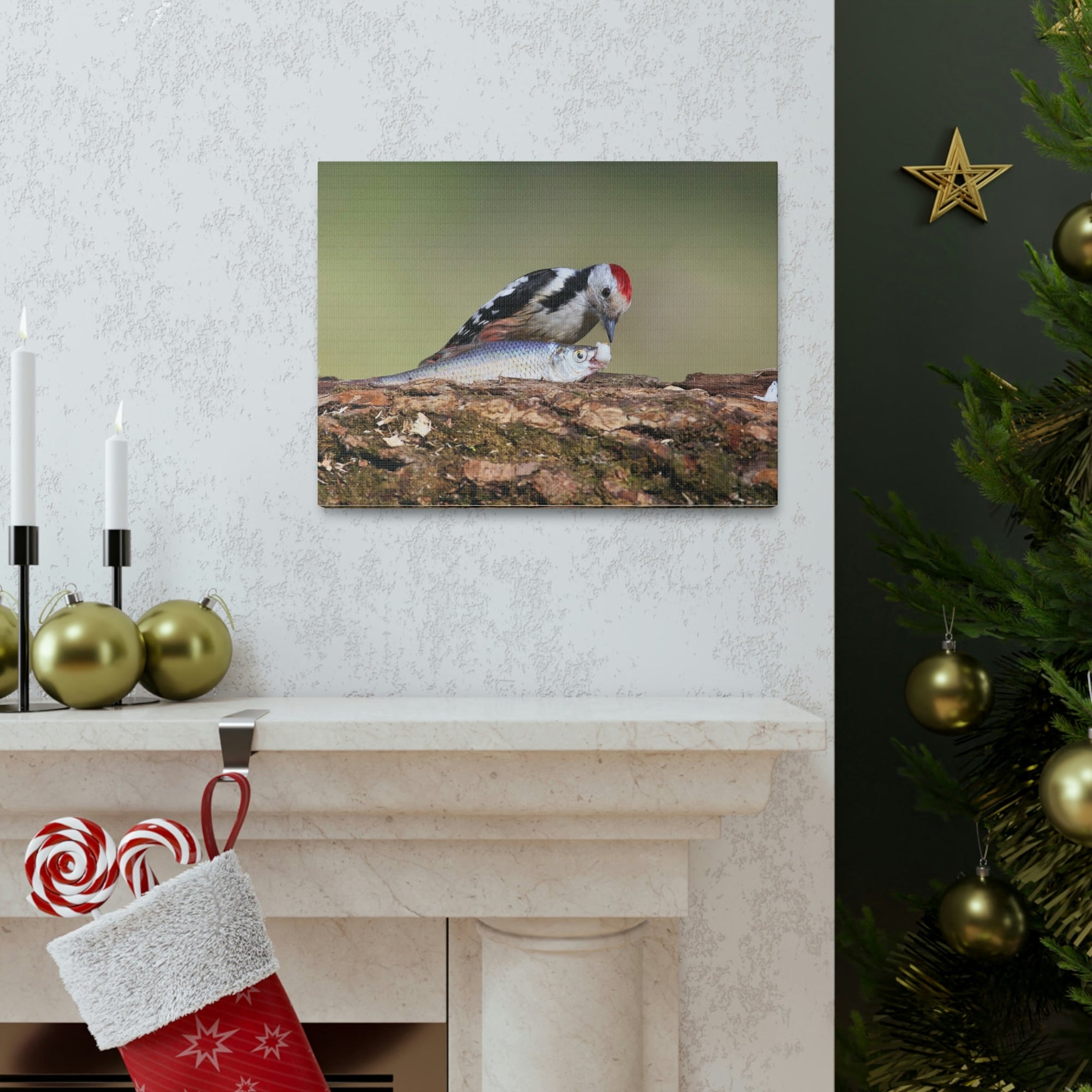 Funny Woodpecker Silly Woodpecker Scene Outside Wall Art Ready to Hang Unframed-Express Your Love Gifts