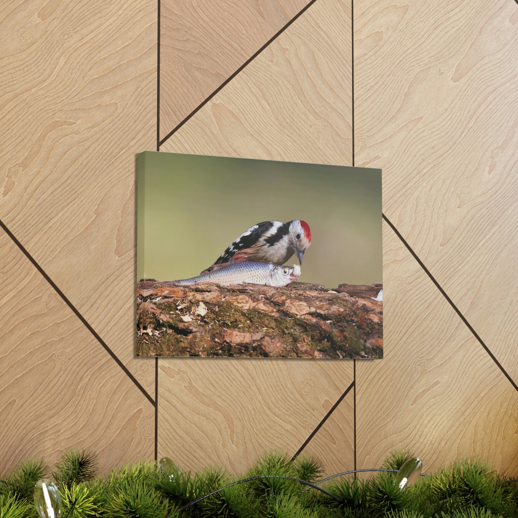 Funny Woodpecker Silly Woodpecker Scene Outside Wall Art Ready to Hang Unframed-Express Your Love Gifts