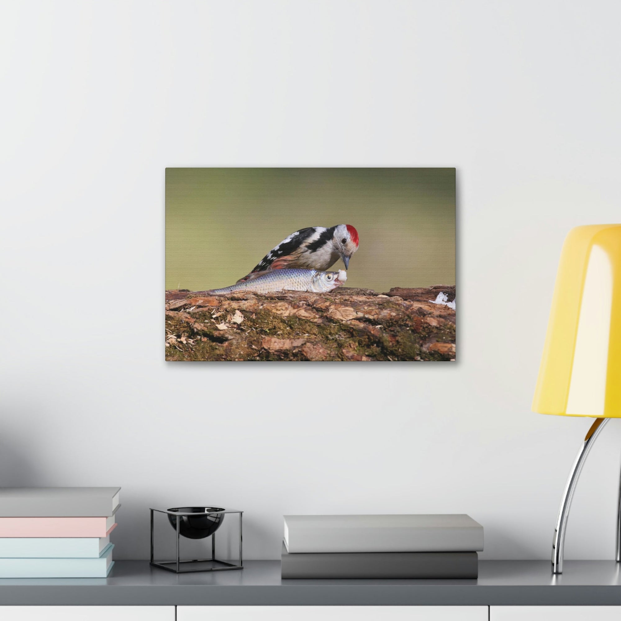 Funny Woodpecker Silly Woodpecker Scene Outside Wall Art Ready to Hang Unframed-Express Your Love Gifts