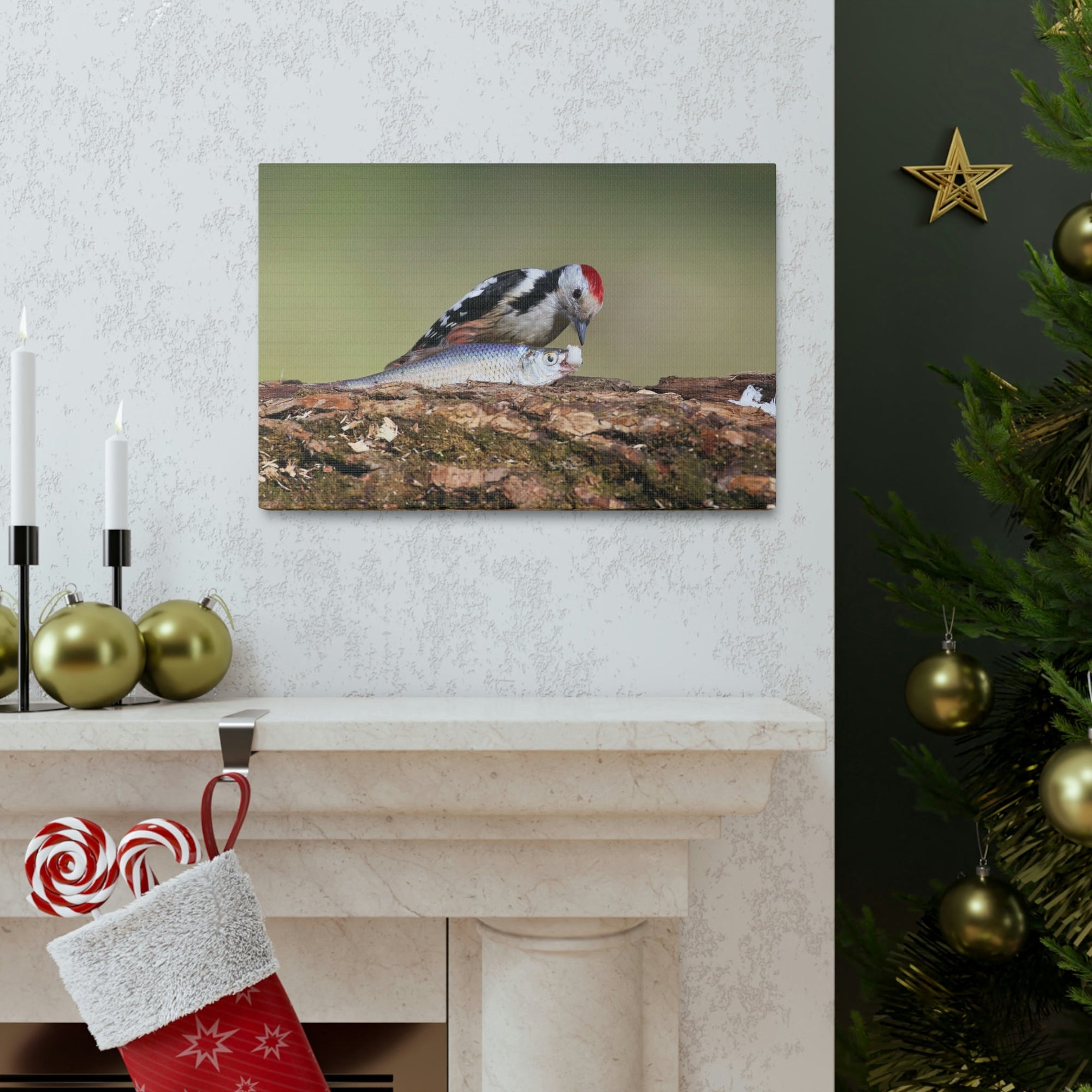 Funny Woodpecker Silly Woodpecker Scene Outside Wall Art Ready to Hang Unframed-Express Your Love Gifts