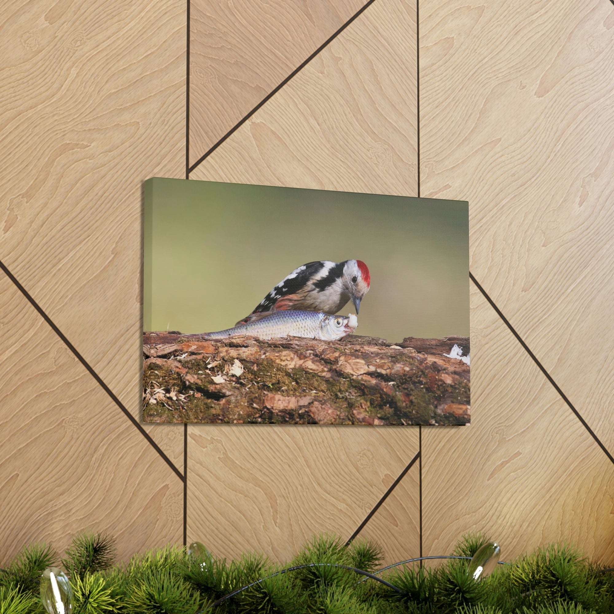 Funny Woodpecker Silly Woodpecker Scene Outside Wall Art Ready to Hang Unframed-Express Your Love Gifts