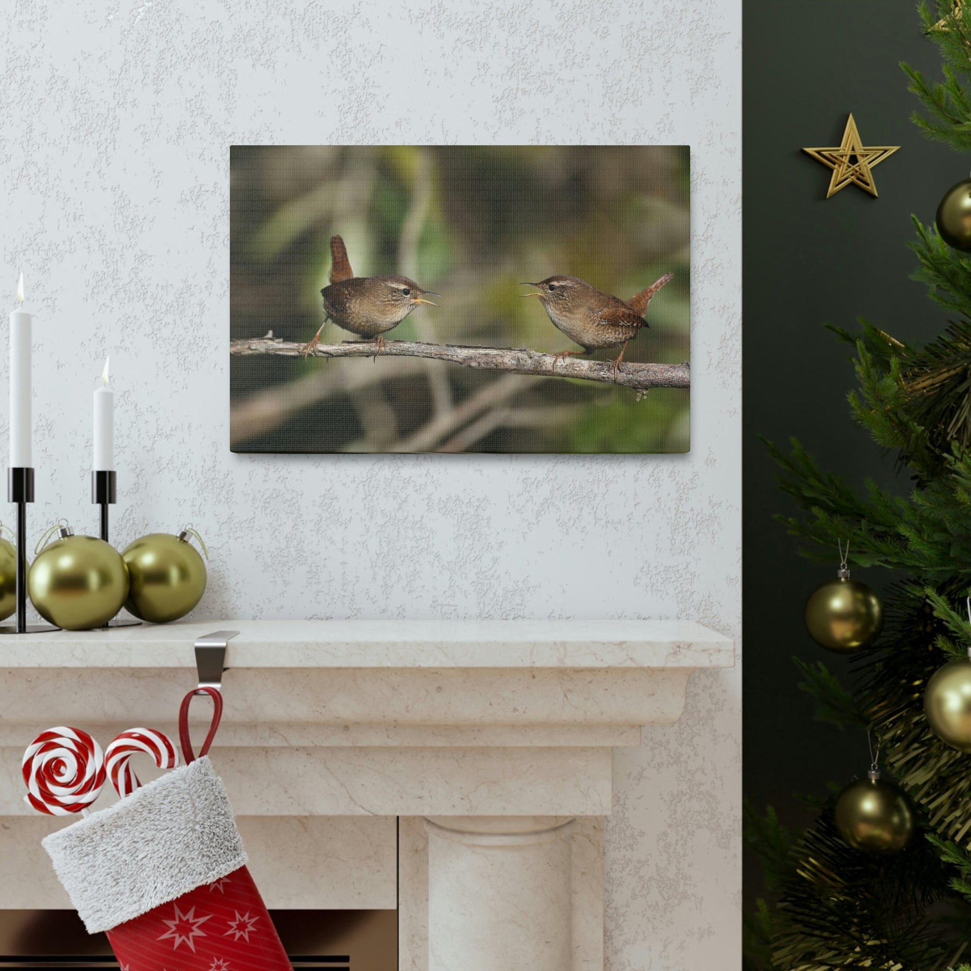 Funny Wren Silly Wren Scene Couple Wall Art Ready to Hang Unframed-Express Your Love Gifts