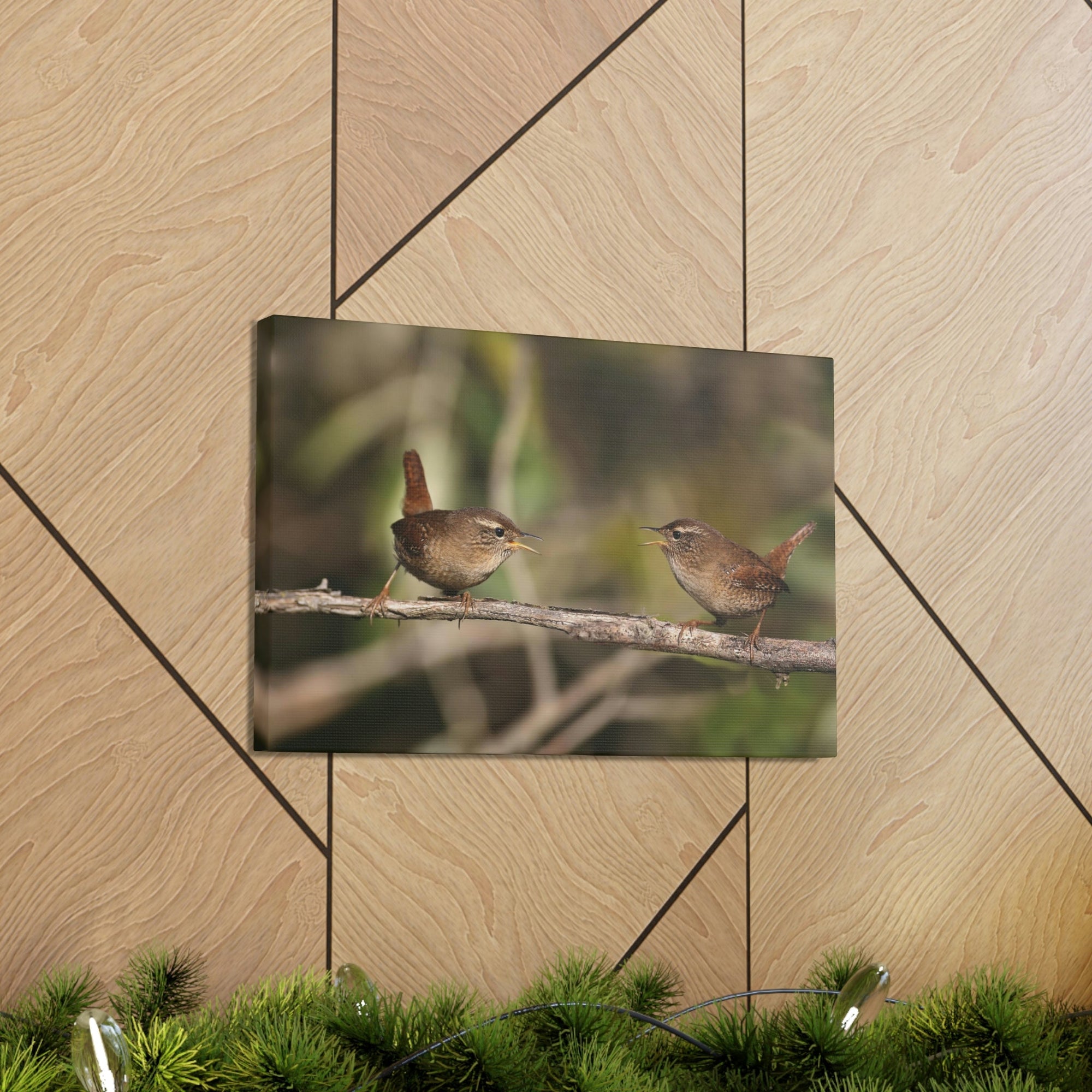 Funny Wren Silly Wren Scene Couple Wall Art Ready to Hang Unframed-Express Your Love Gifts