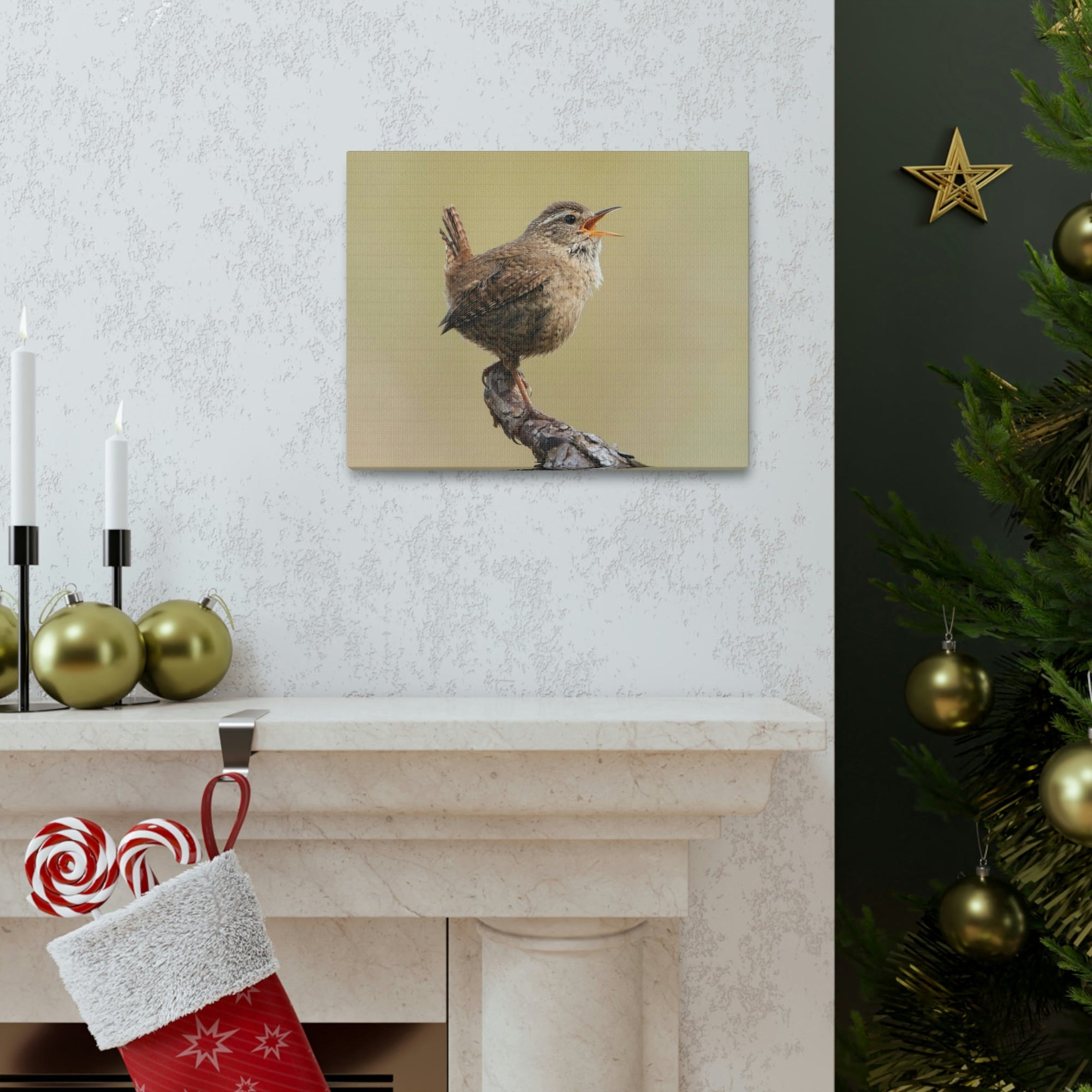 Funny Wren Silly Wren Scene Outside Wall Art Ready to Hang Unframed-Express Your Love Gifts