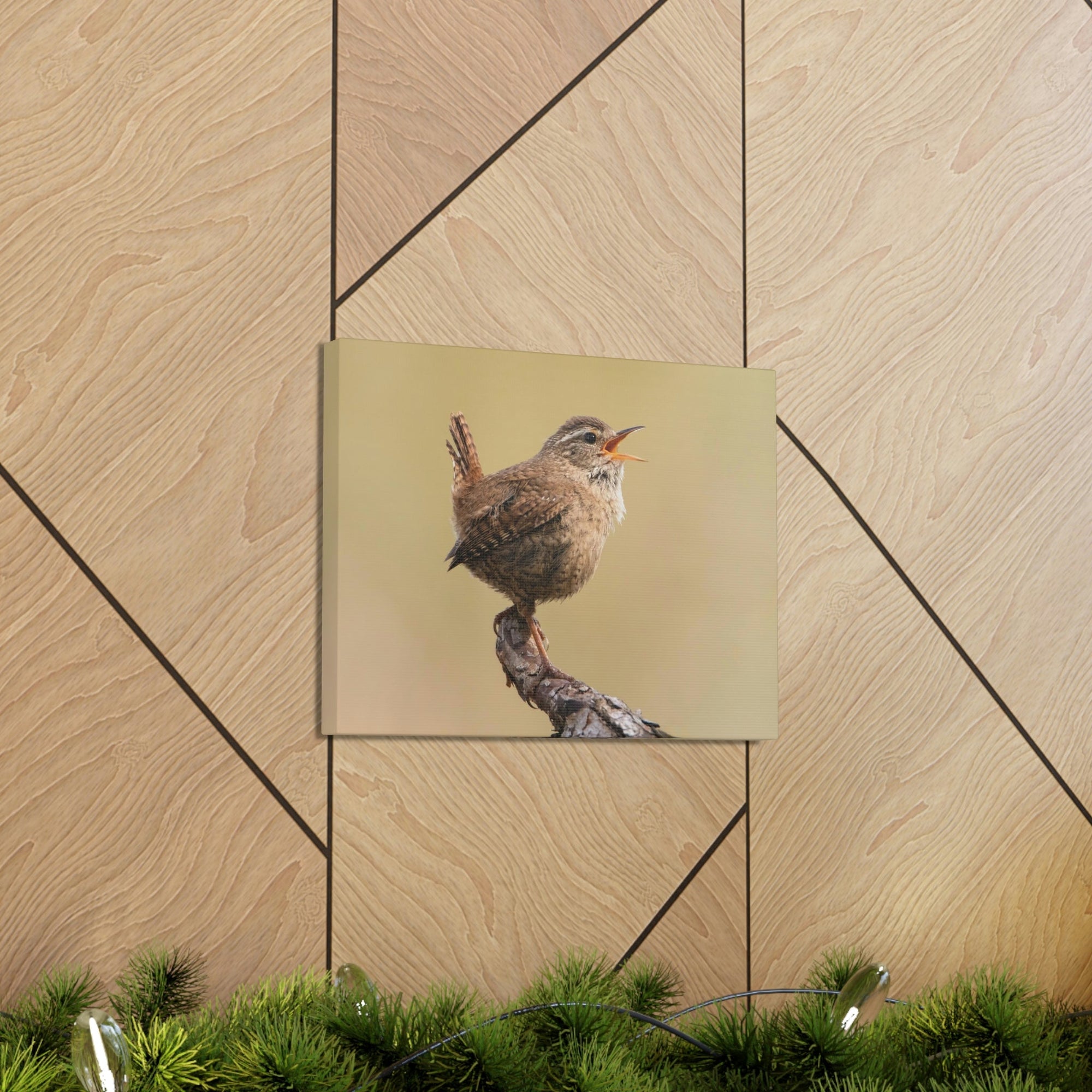 Funny Wren Silly Wren Scene Outside Wall Art Ready to Hang Unframed-Express Your Love Gifts