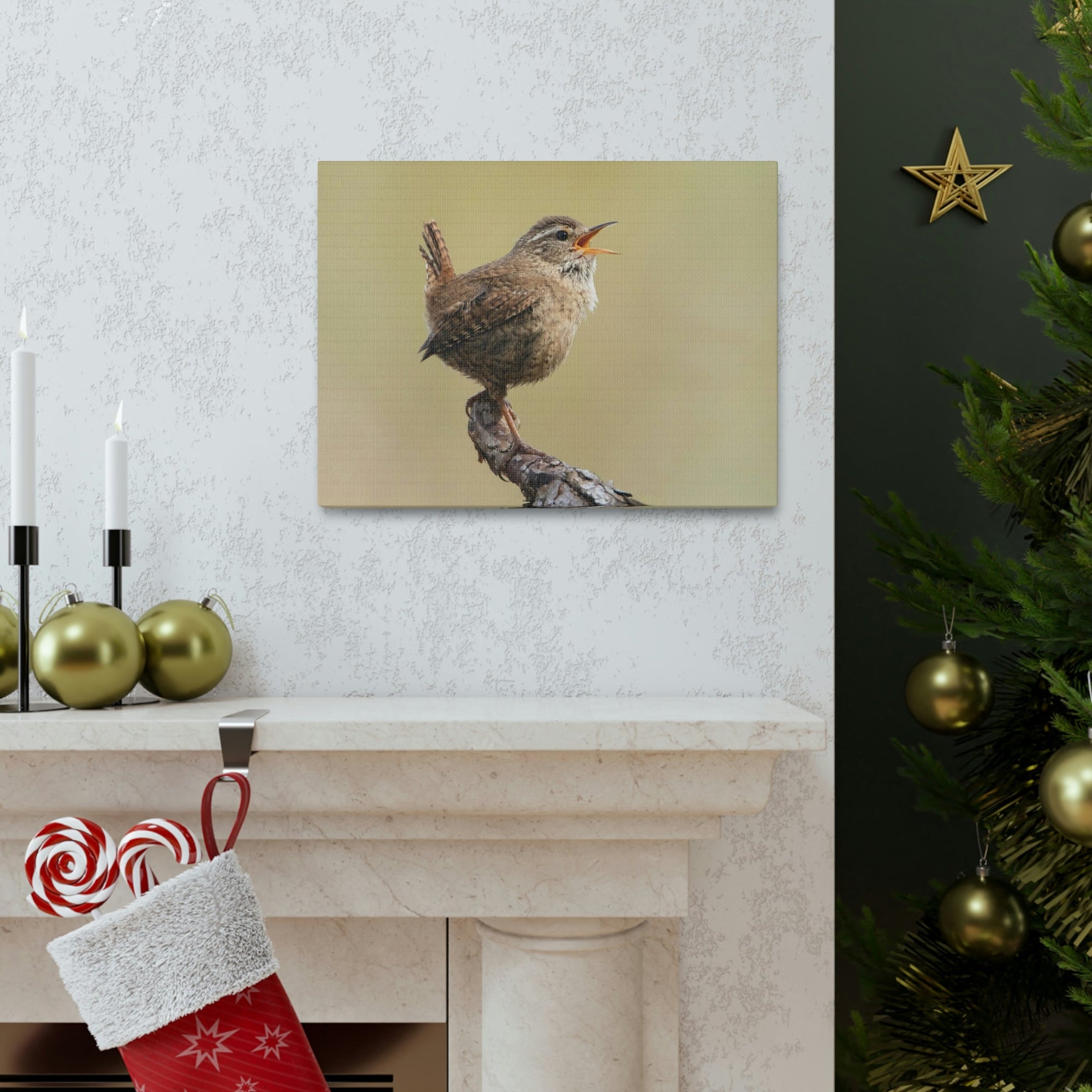 Funny Wren Silly Wren Scene Outside Wall Art Ready to Hang Unframed-Express Your Love Gifts