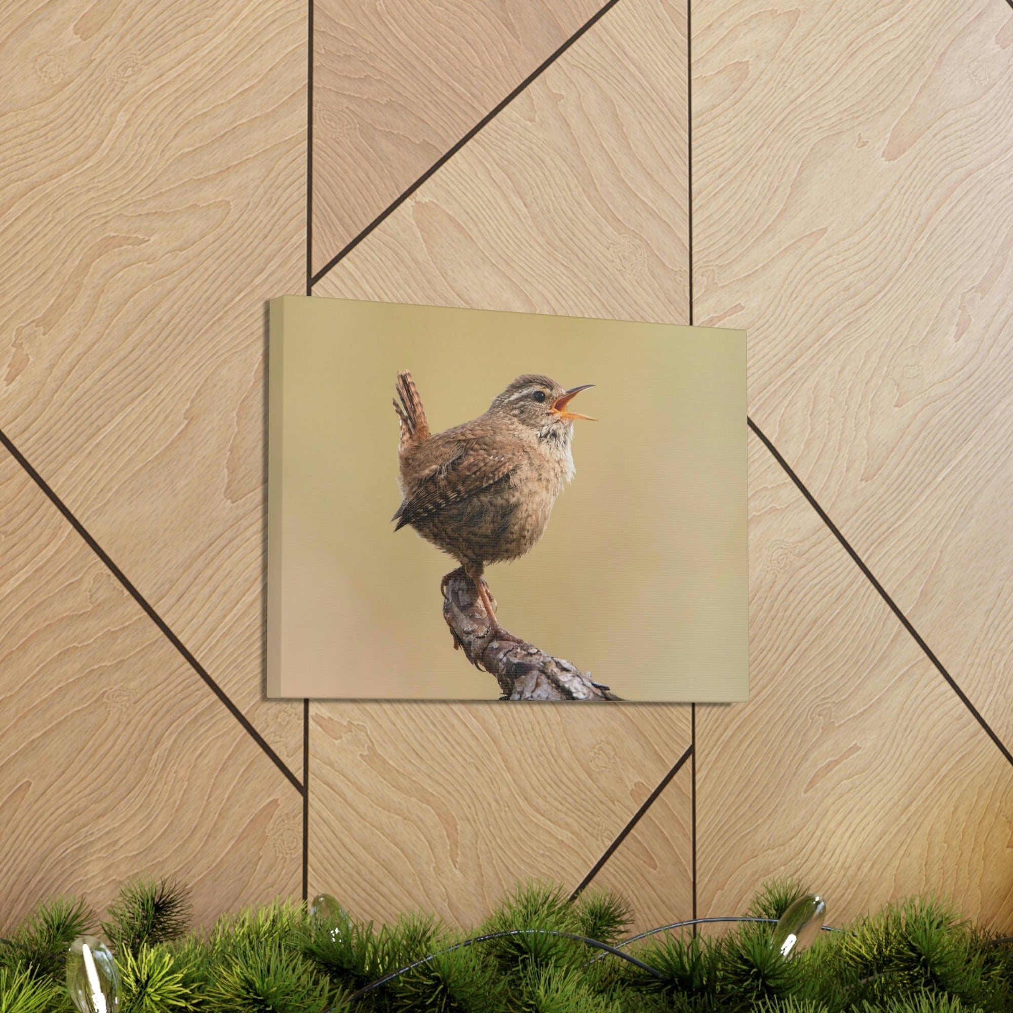 Funny Wren Silly Wren Scene Outside Wall Art Ready to Hang Unframed-Express Your Love Gifts