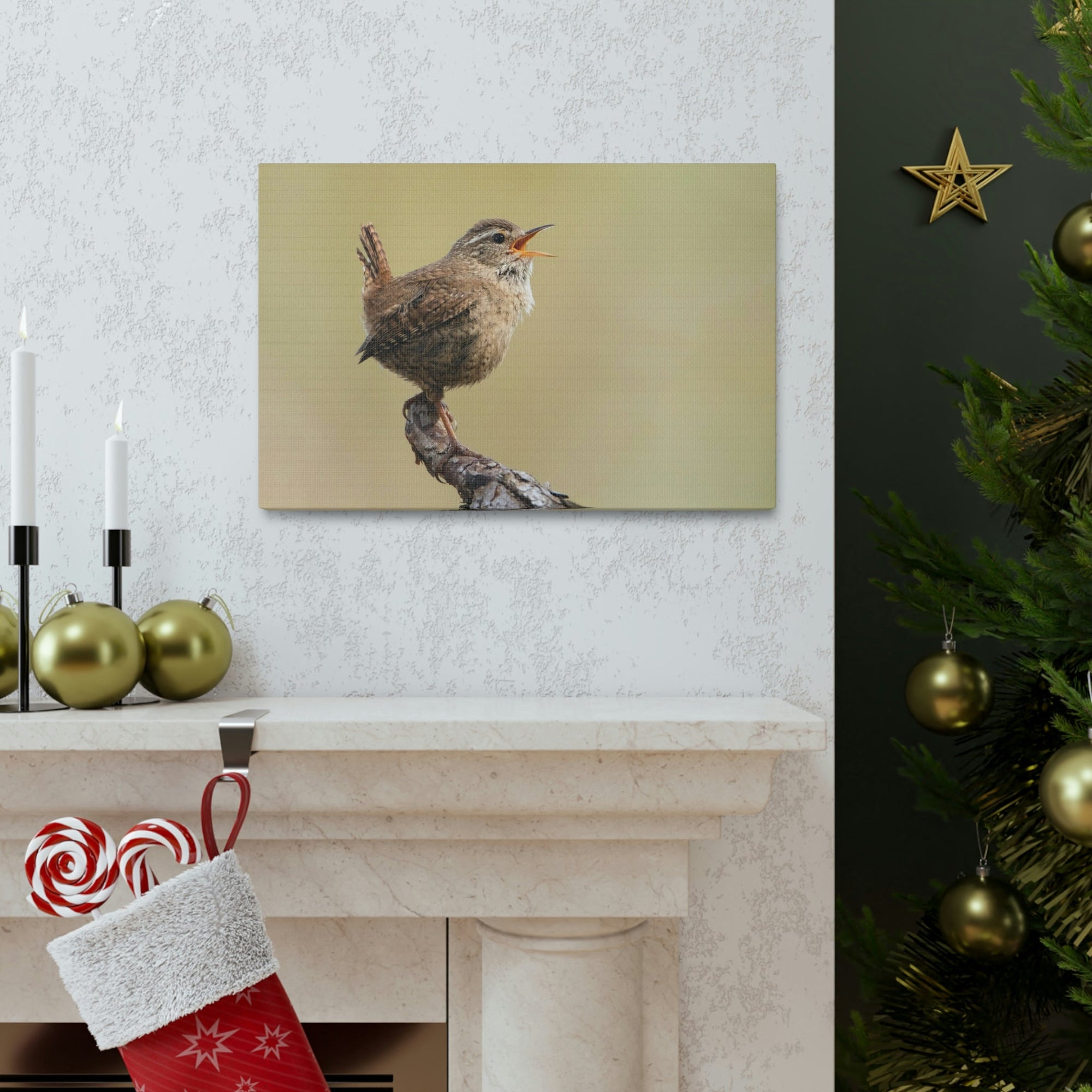 Funny Wren Silly Wren Scene Outside Wall Art Ready to Hang Unframed-Express Your Love Gifts