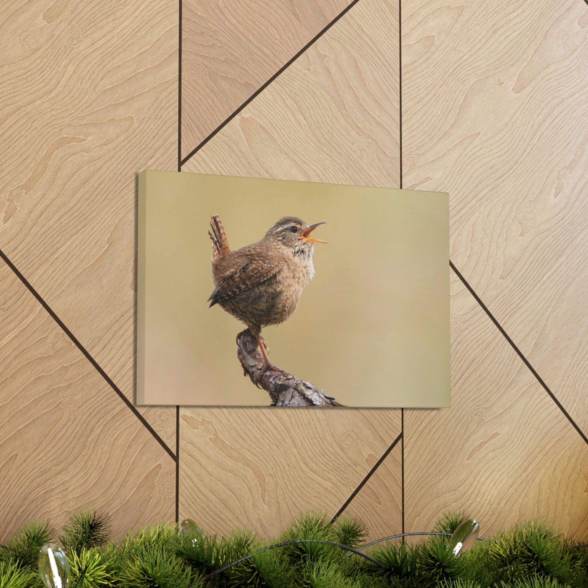 Funny Wren Silly Wren Scene Outside Wall Art Ready to Hang Unframed-Express Your Love Gifts