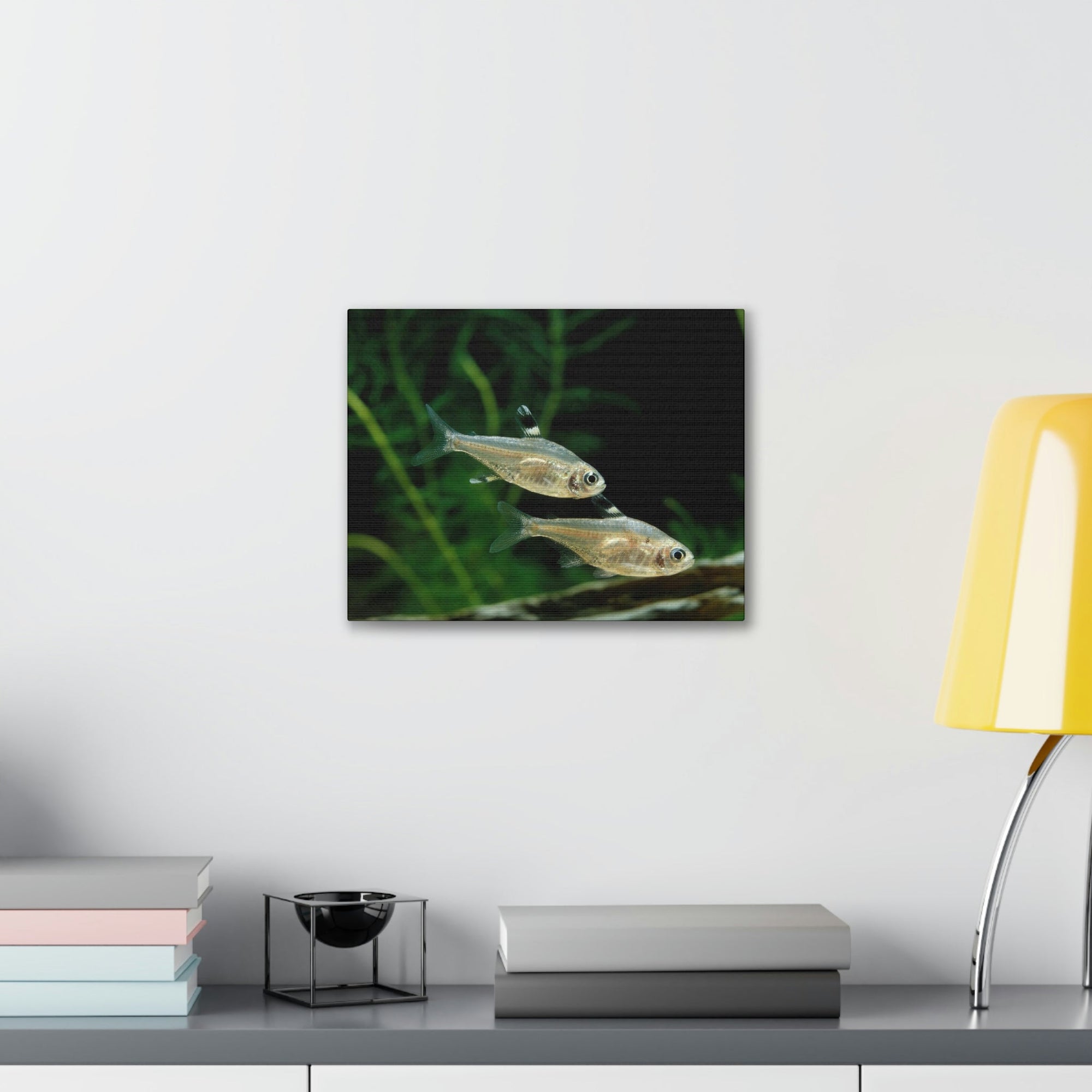 Funny X-ray Fish Silly X-ray Fish Scene Couple Wall Art Ready to Hang Unframed-Express Your Love Gifts