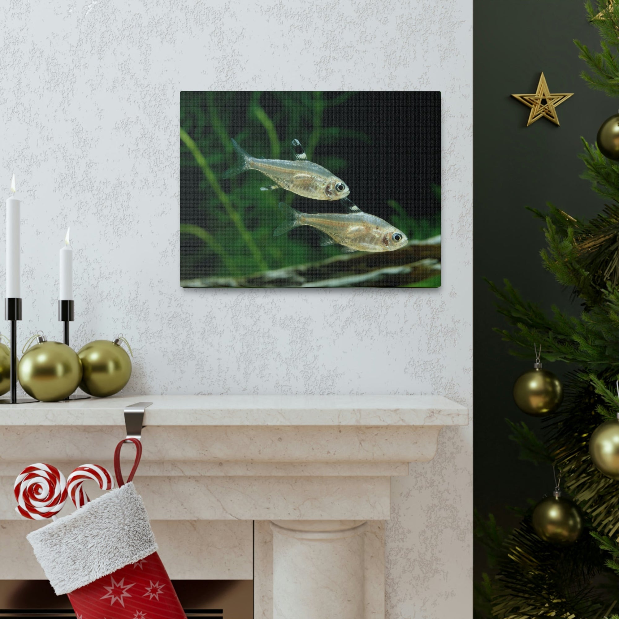 Funny X-ray Fish Silly X-ray Fish Scene Couple Wall Art Ready to Hang Unframed-Express Your Love Gifts