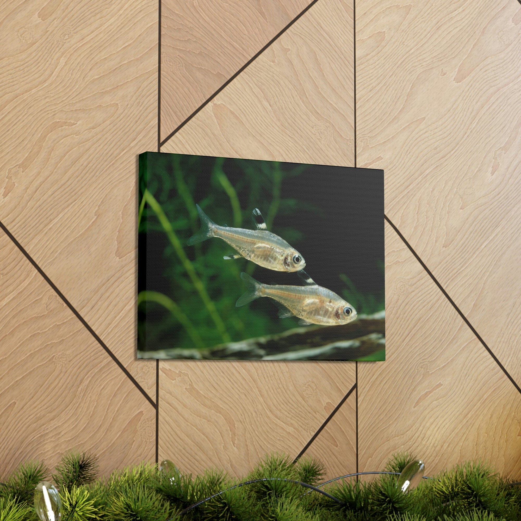 Funny X-ray Fish Silly X-ray Fish Scene Couple Wall Art Ready to Hang Unframed-Express Your Love Gifts