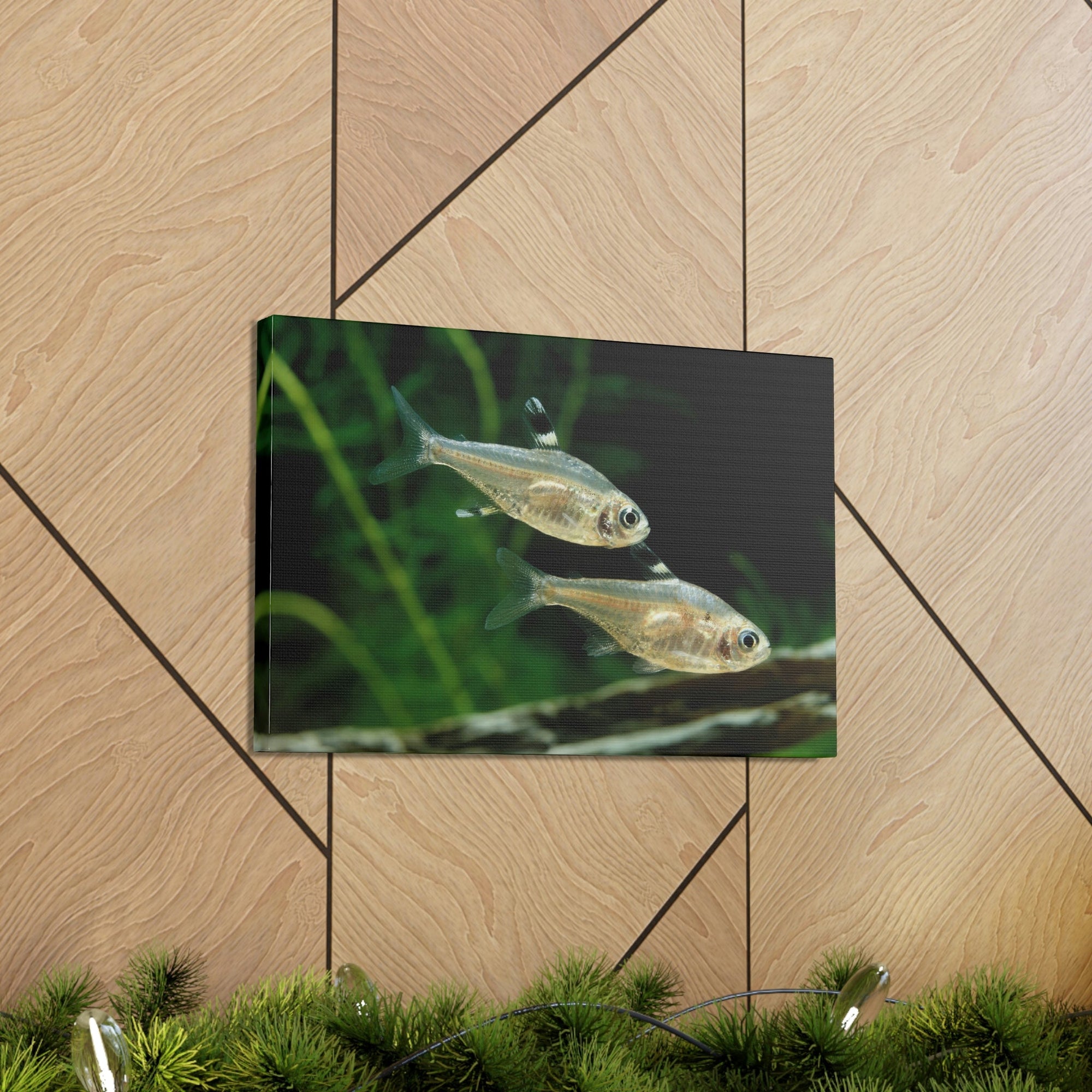 Funny X-ray Fish Silly X-ray Fish Scene Couple Wall Art Ready to Hang Unframed-Express Your Love Gifts