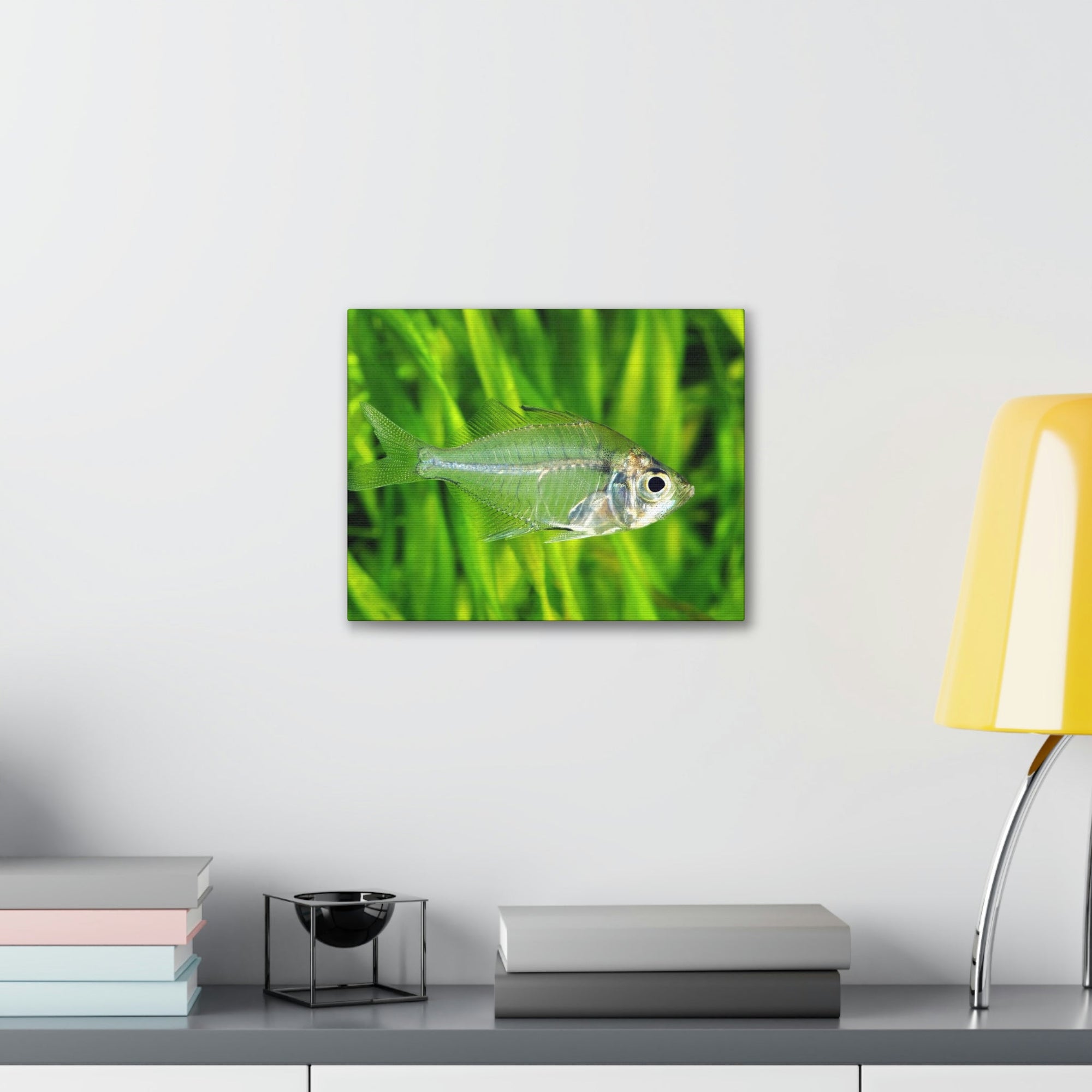 Funny X-Ray Fish Silly X-Ray Fish Scene Outside Wall Art Ready to Hang Unframed-Express Your Love Gifts