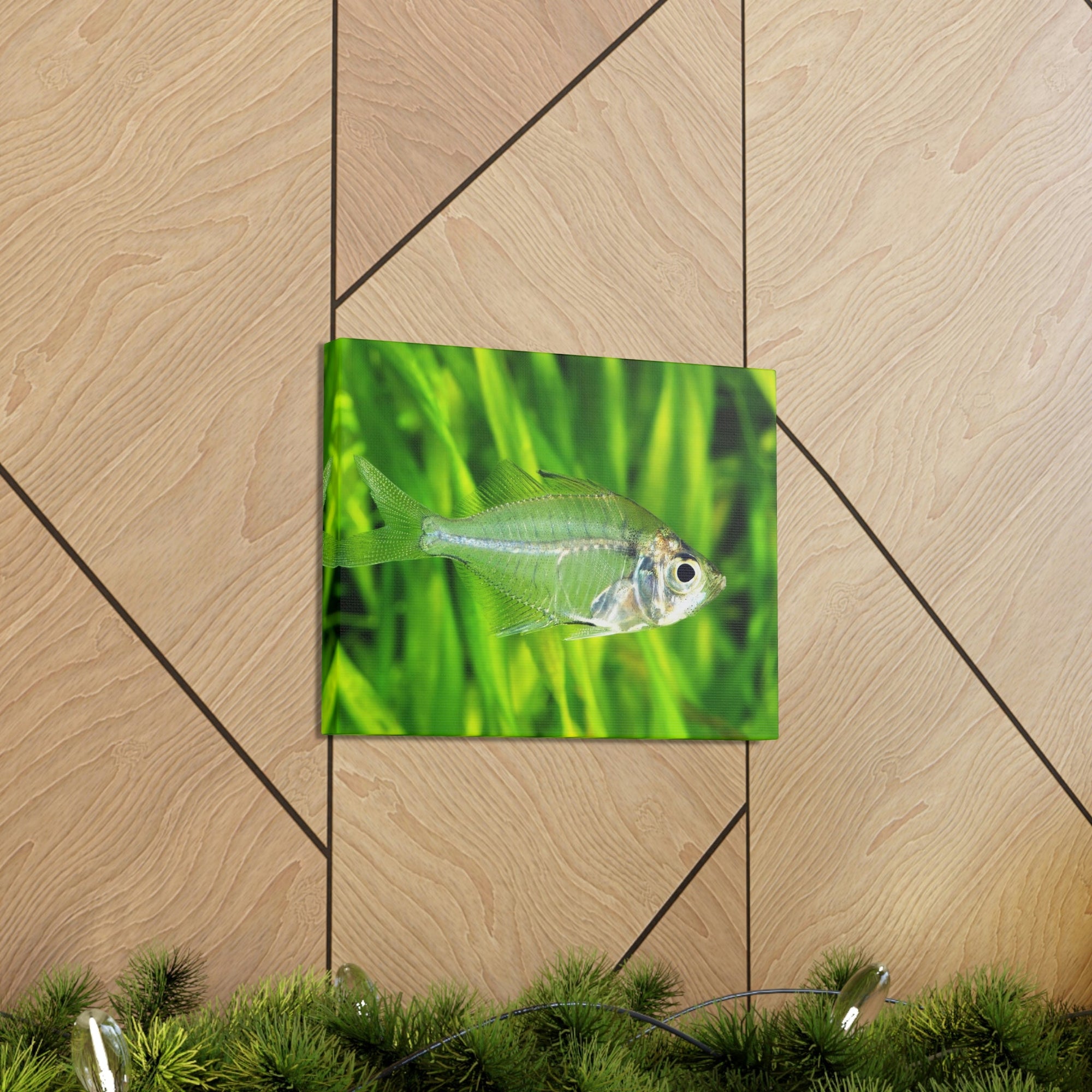 Funny X-Ray Fish Silly X-Ray Fish Scene Outside Wall Art Ready to Hang Unframed-Express Your Love Gifts